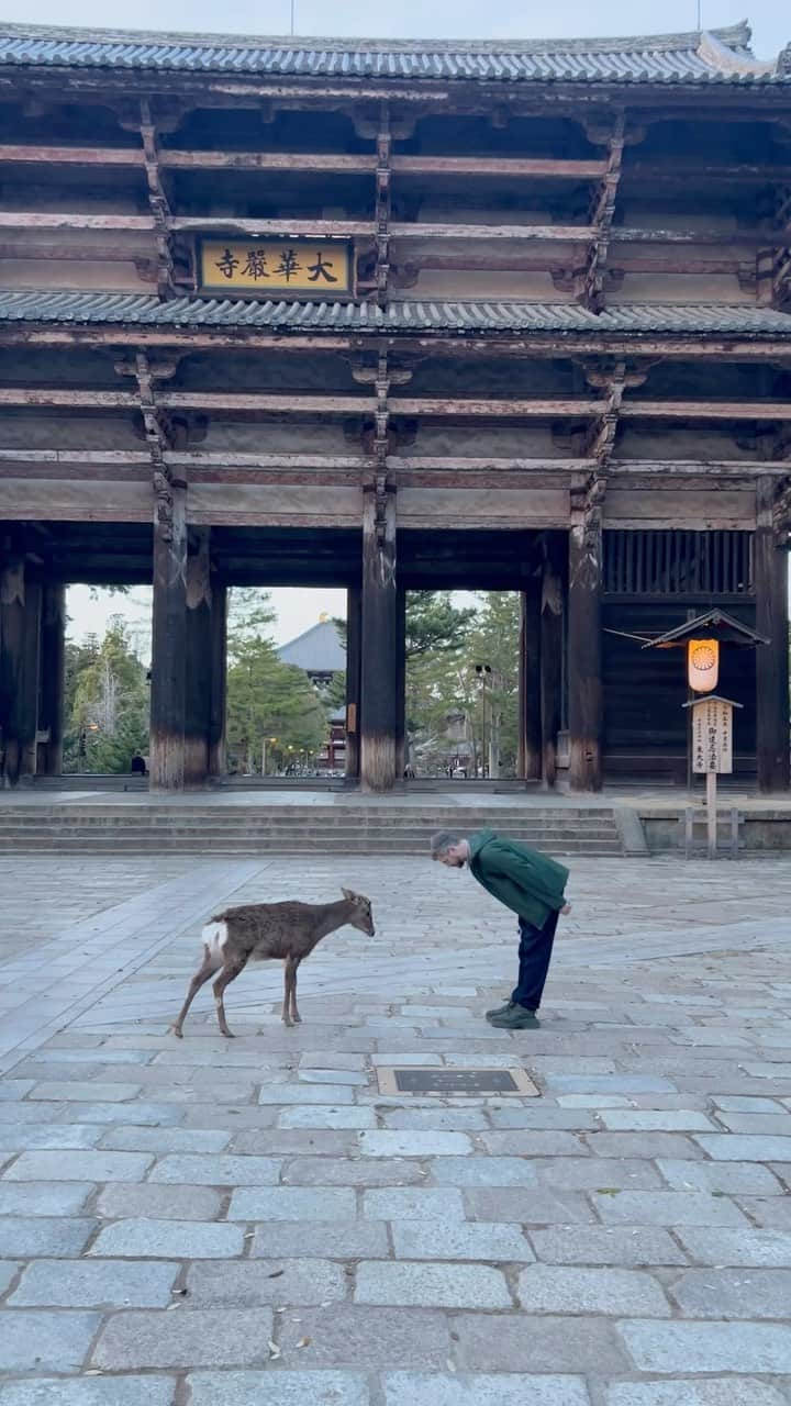 アリソン・ハーバードのインスタグラム