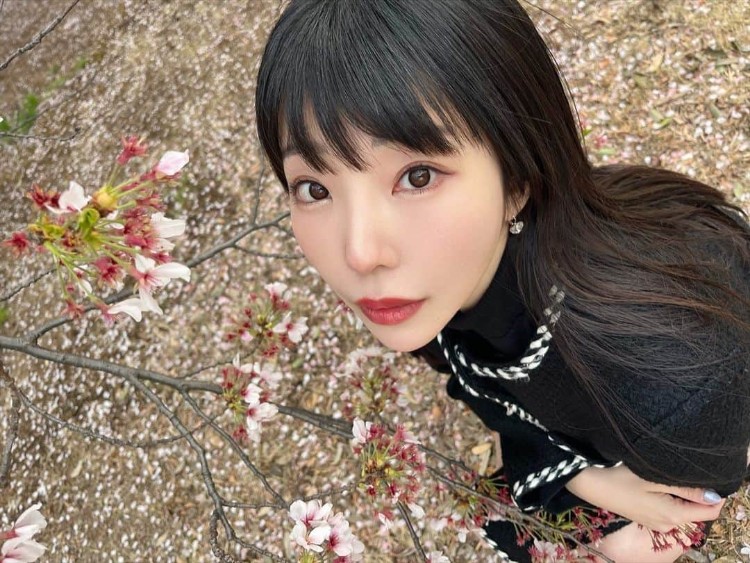 相沢梨紗のインスタグラム：「妖精さん🧚‍♀️🧚🧚‍♂️🧚‍♀️と、お花見🌸🍡したよ〜💕  #お花見 #桜 #🌸 #cherryblossom #tokyo #japan #japantravel #新宿御苑 #dempagumi #spring #春 #idol #東京観光」