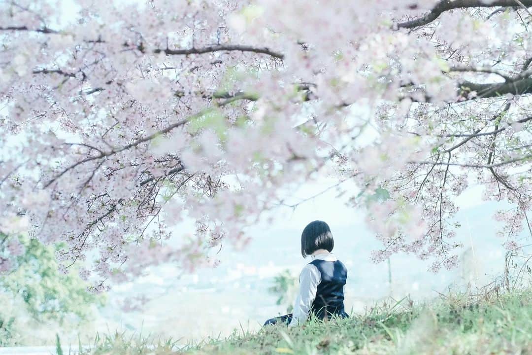 岩倉しおりさんのインスタグラム写真 - (岩倉しおりInstagram)「桜の木の下で。」3月30日 0時32分 - iwakurashiori