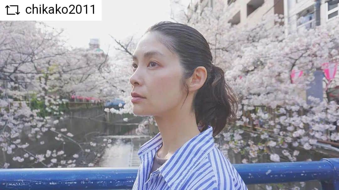 アースモデルスのインスタグラム：「#芦澤智香子   #REPOST @chikako2011 with @get__repost__app  つつじも花水木も咲き始めたので、桜はもう終わりかな。   #モデル #イアラ #イアラモデルエージェンシー #モデルエージェンシー #モデル事務所 #モデル募集 #ファッション #ファッションモデル #青山 #表参道 #外苑前」