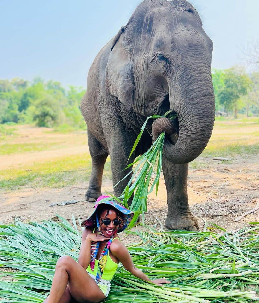 シャノーラ・ハンプトンのインスタグラム：「Thinking of the love I found in Thailand! #photodump #saveelephants」