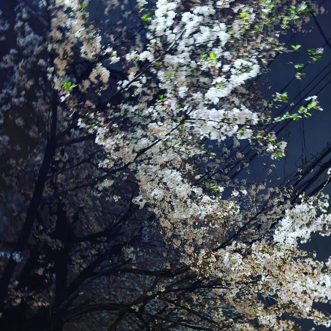 置鮎龍太郎さんのインスタグラム写真 - (置鮎龍太郎Instagram)「お花🌸  最後は美味しかった #ミルクレープ♪  今日もお疲れ様でした(^^)/  『#ラブフェス』は良い歌だな、うむうむ♪」3月30日 2時10分 - chikichikiko