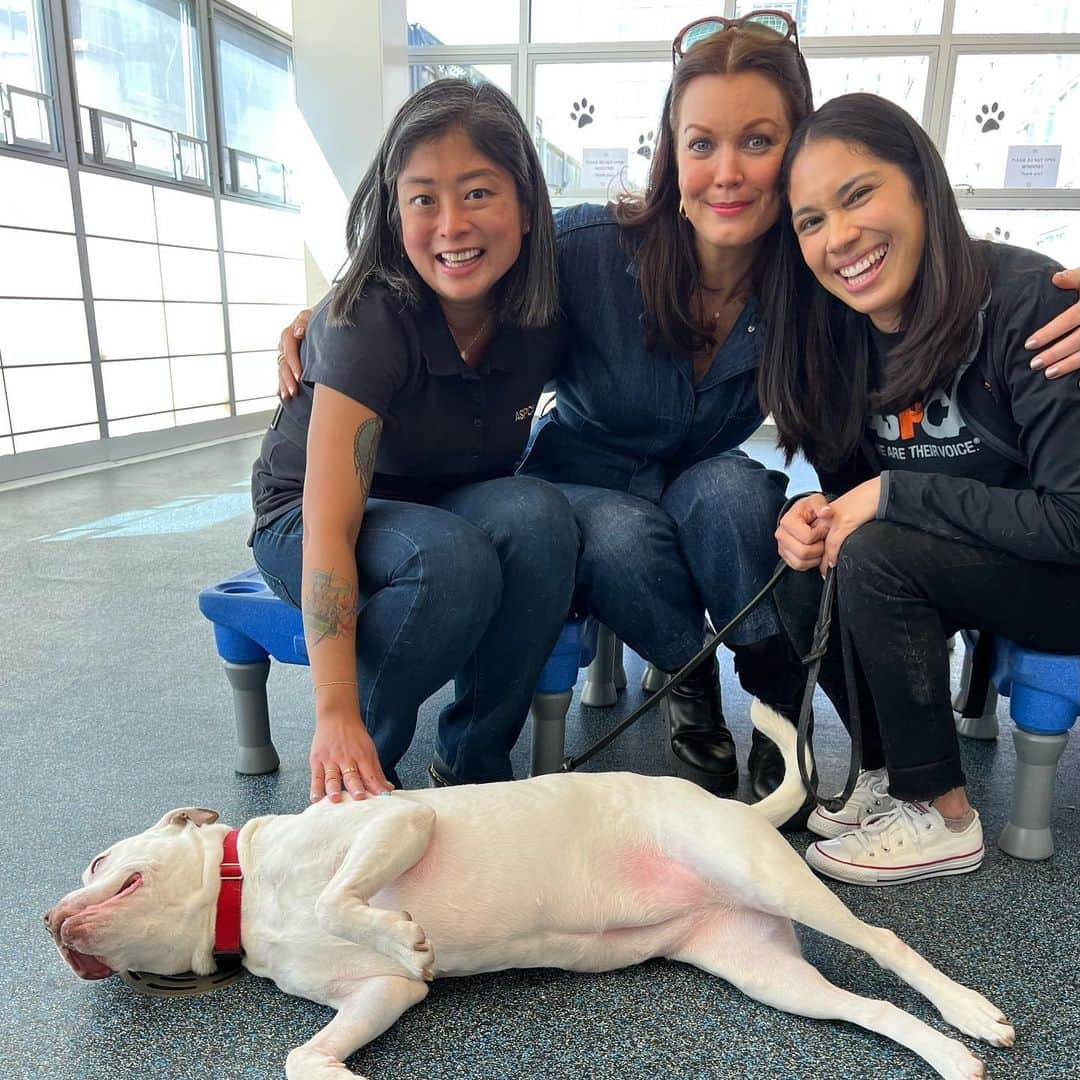 ベラミー・ヤングさんのインスタグラム写真 - (ベラミー・ヤングInstagram)「I got to visit with the incredible folks of the #ASPCA at their #92ndStreet #Adoption Center today. (Meet Rena & Jackie above🤓) Such a joy & honor to learn more about their programs to #rescue & #rehabilitate dogs & cats here. And thank you to the #NYPD for joining forces w/the ASPCA to save animals in the most dire of situations.  #Sunshine , the star of our InstaLive & pictured here), is one such lucky pup: NYPD rescue, now rehabilitated, full of LOVE (& amazingly: trust), & ready to settle into her loving #ForeverHome 🥰 Sunshine is a kisser & a snuggler & a great lover of cheese 🤓; she needs some space to enjoy running & likely will be happiest as an only fur-child. She'll be such a loving companion!!! 🥰🐶🥰 And there are so many more stories like hers- & so many more animals to love. Visit aspca.org/adopt to learn more & find you special someone! 😻🐶🎉 Sending each of you so very much LOVE! @aspca #adopt #sunshine ❤️🐶❤️」3月30日 2時11分 - bellamyyoung