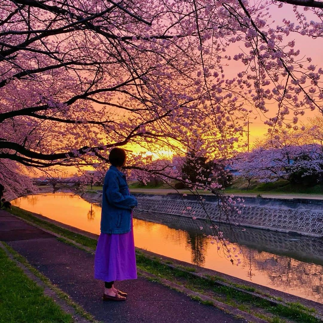 市川華菜のインスタグラム：「🌸ご報告🌸 2023年3月30日 桜が満開ですね🫶 気づけばあっという間に 結婚1周年を迎えました👨🏻🧒🏻 と共に… お腹の中に新しい命を 授かることができました🕊 今は6ヶ月になり 安定期に入りました🤰🏻🌼  自分の体が変わっていくことが 不思議でたまらないのと みたことない体重と体型に 笑ったり、驚いたり、少し 悲しくなったり笑 すごいなと日々感じております。 ありがたいことに悪阻もなく お仕事はいつもと変わらず やらせてもらっています🏃‍♀️ 少しの間ご迷惑をおかけしますが レアなマタニティー市川も どうぞよろしくお願いします。  2人だけの時間もあと少しなので 宮古島に新婚旅行🏖と 結婚一周年記念で 奥飛騨にも行きました♨️ めちゃくちゃ楽しかった😂 ありがとう🫶 #専属カメラマン佐分」