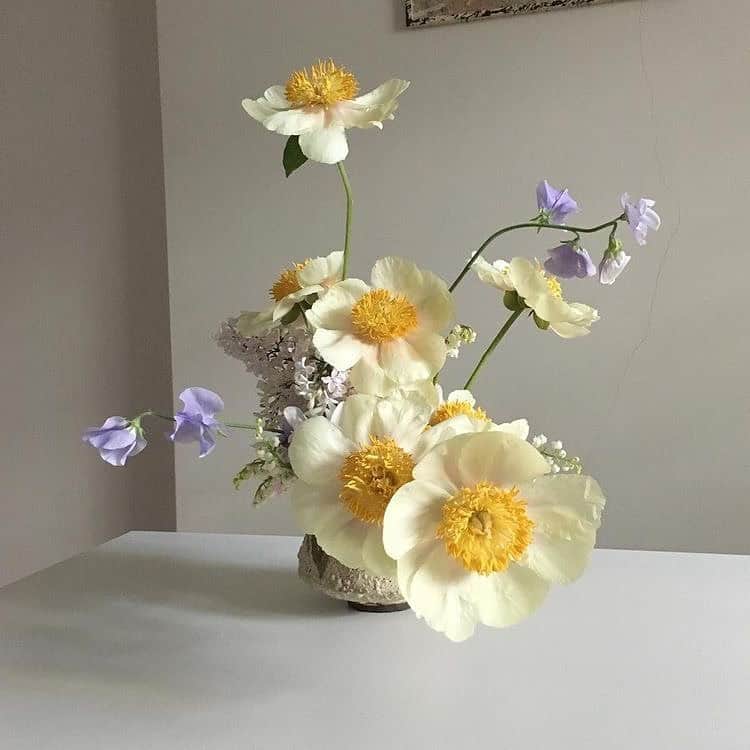 メリメロのインスタグラム：「Spring has sprung」