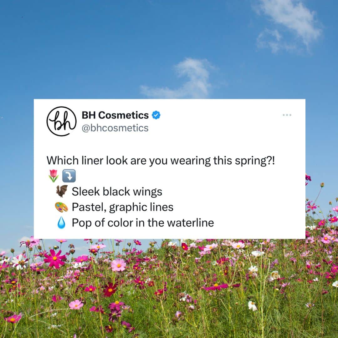 BH Cosmeticsのインスタグラム：「IF you had to pick, which liner look are you choosing?! 👀💭 Let us know in the comments! ⬇️ #bhcosmetics」