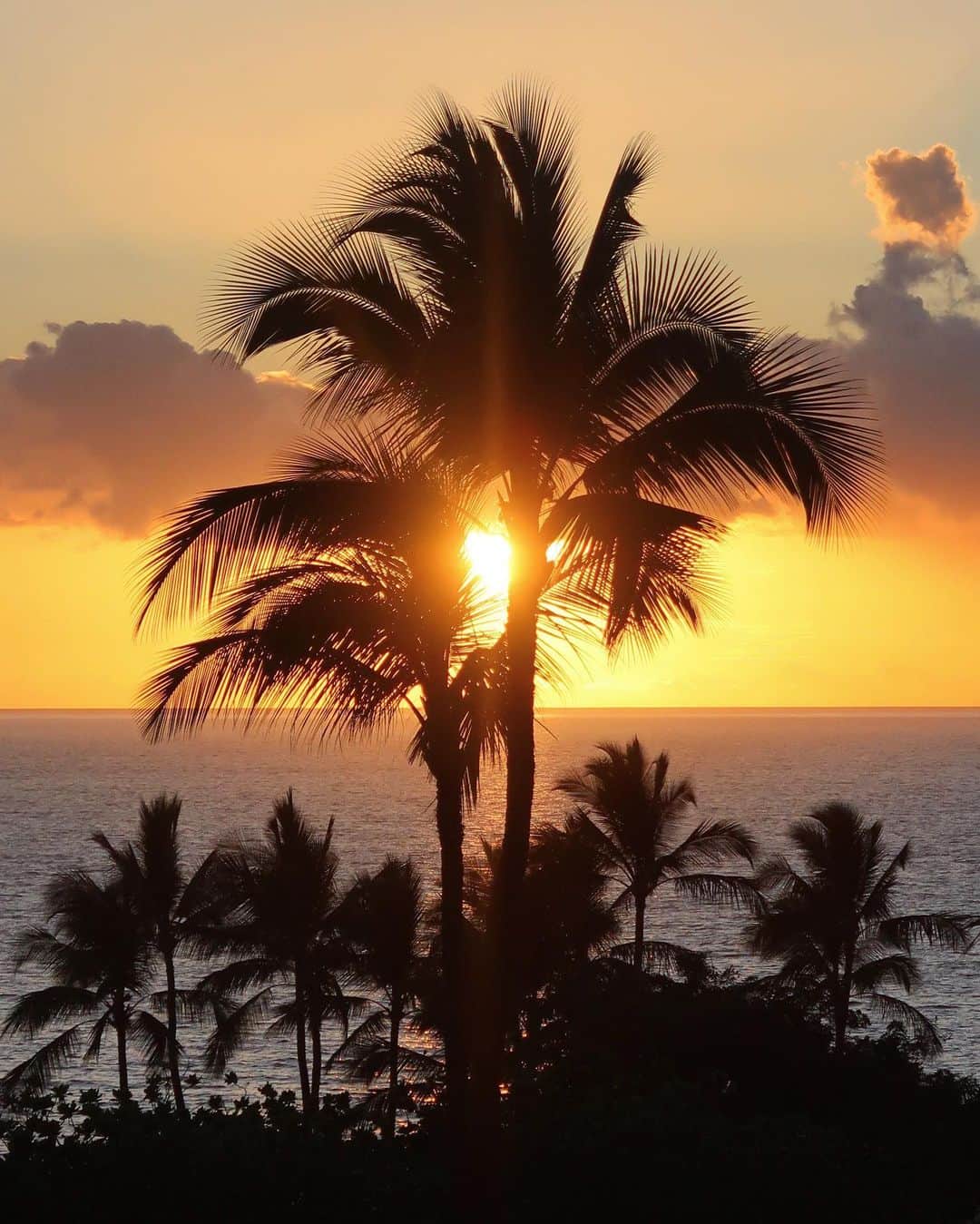 のインスタグラム：「#islandlife 🌴🌅🌴」