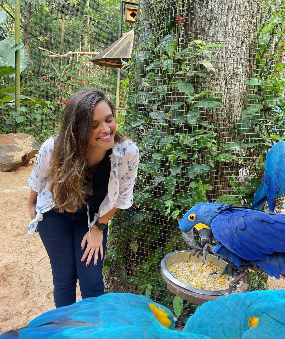 ジュリアナパイヴァのインスタグラム：「Fazendo novas amizades por aqui!🥰🦅🐥🦜 Projeto lindo de resgate e cuidado com os animais❤️✨」
