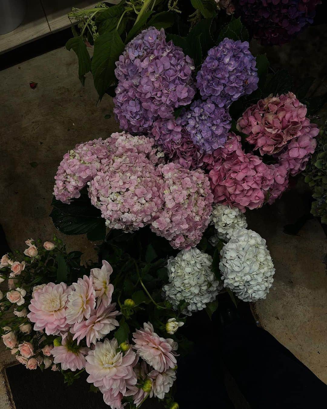 Victoria Leeのインスタグラム：「🌸flowers just because」