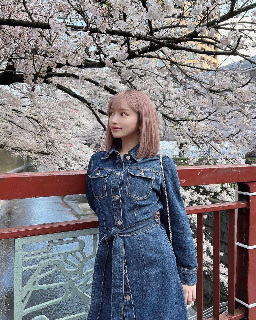 ゆりらっくまのインスタグラム：「ハル~🫨🩷🩵#桜」