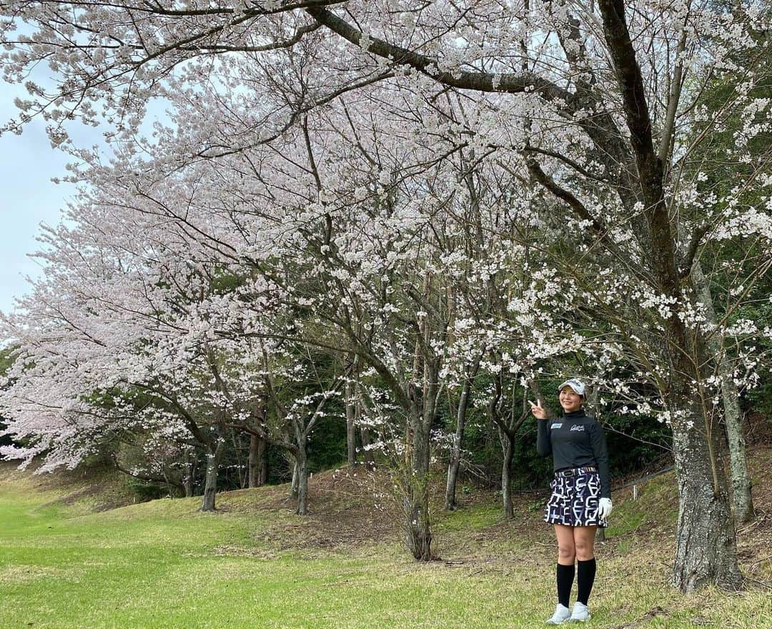 石山千晶のインスタグラム：「⁡ 桜がすごい綺麗だった〜🌸 ゴルフ場で見れるから、 お花見ってあんまりやったことないけど お弁当とか持ってってやってみたいと思いました🍙 ⁡ phot by スタイ🍊  @ririna9911   #ゴルフ #golf #桜 #🌸 #お花見」