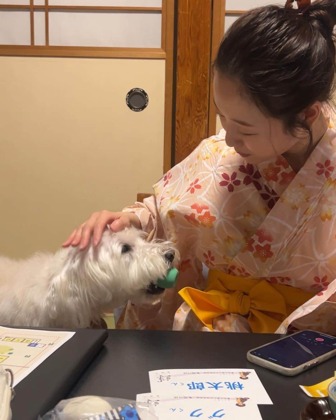 浦まゆさんのインスタグラム写真 - (浦まゆInstagram)「. 桃太郎とグクを連れて温泉に♨️ 食事中も一緒にいれるし、ドッグランもあるし、わんこが入れる温泉まであって、至れり尽くせり🐶🐾 ずーっと一緒に過ごせて幸せだったなぁ💕  #犬と旅行 #犬と温泉 #犬がいる生活 #栃木県観光」3月30日 16時16分 - uramayu0908