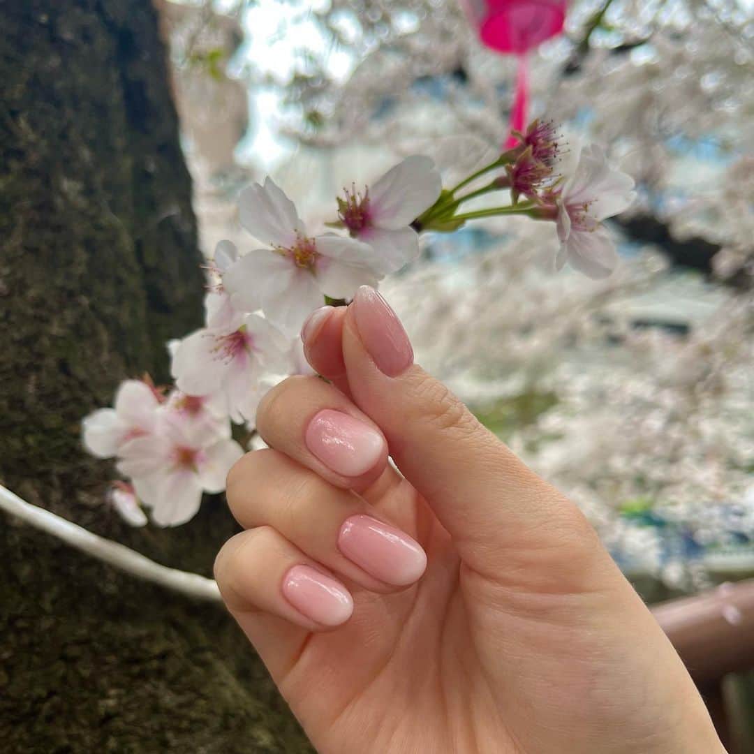 池上紗理依のインスタグラム：「🌸 ちゅるちゅる桜色」