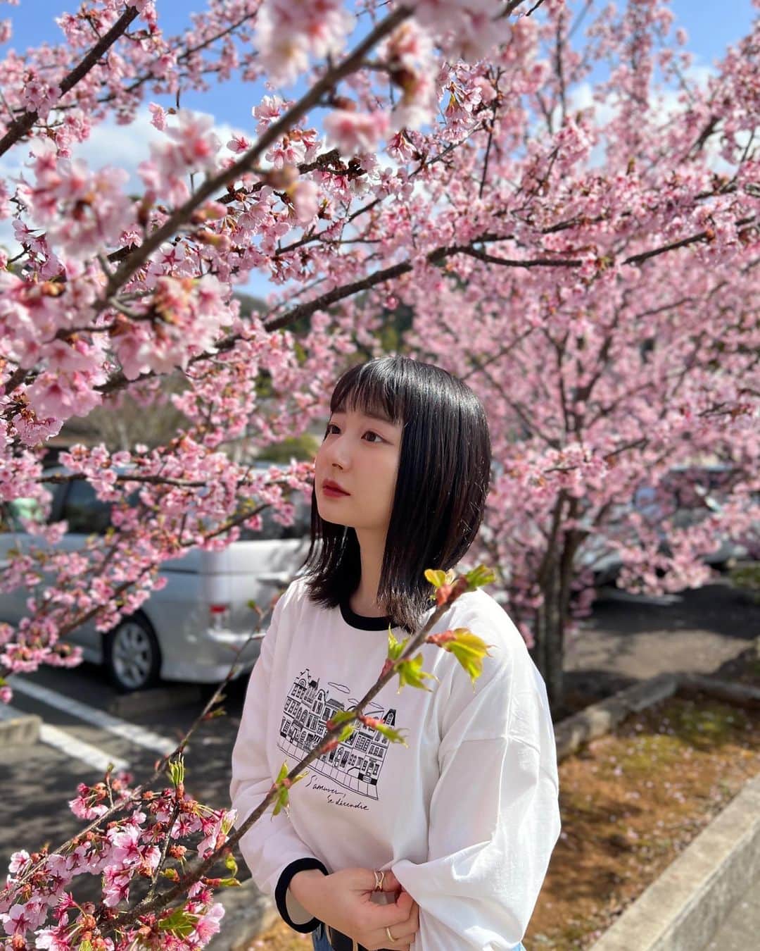 小室ゆらのインスタグラム：「#時差投稿 ⁡ ⁡ #河津桜 🌸 とっても綺麗だった〜！！ ソメイヨシノより色が濃くて可愛いの🥺 ⁡ 花粉酷くて鼻水と格闘しながら撮ってた笑 ⁡ ⁡ .」