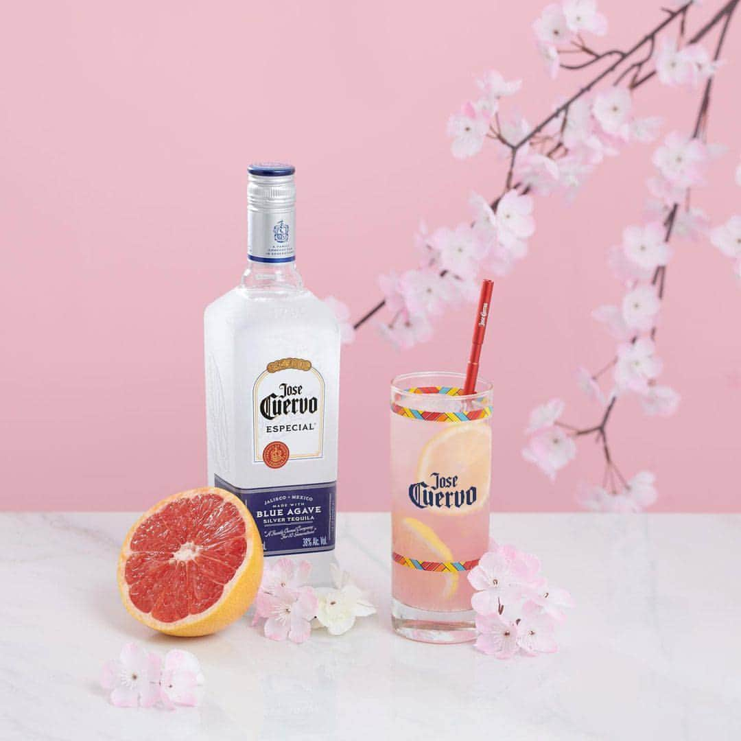 Jose Cuervo Japanのインスタグラム