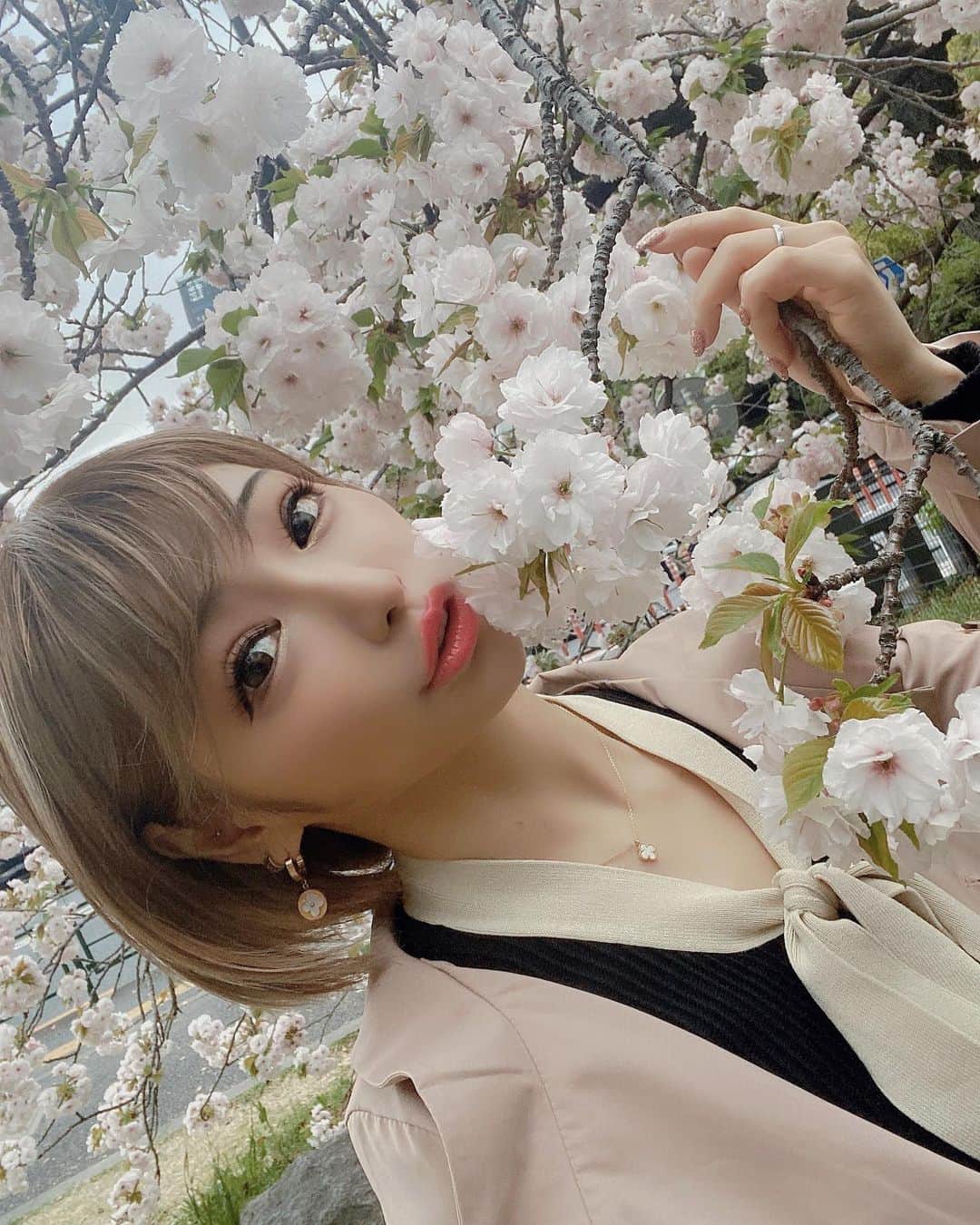 Miiのインスタグラム：「今年は桜見れてない🥲 みんなが花見アップするから2年前の あげちゃう🌸 花見したかったけど雨過ぎた😭  #バーレスク#バーレスク東京 #showgirl #dancer#dance #ショートヘア#桜#お花見#撮影 #fukawadaichi #懐かしいシリーズ  #japan#japanesegirl #映えスポ」