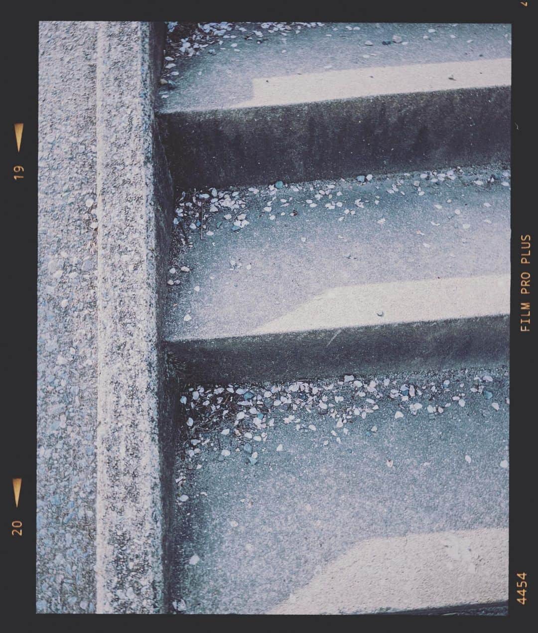 本多哲郎のインスタグラム：「花見へ  令和にするポーズではないですね…写真撮った後に気づきました。  でもまたどこかでシェーします  先週からツアーで全国を回っております！ 仙台、東京、名古屋と素敵な時間をありがとうございました！  今週は広島、そして大阪です  唄人羽全国ツアー2023春  『P.S. Coronavirus』  4/1 広島ヲルガン座　 17:30開場/18:00開演  4/2 大阪 cafe Room  17:30開場/18:00開演  会場でお会いできることを楽しみにしております！」