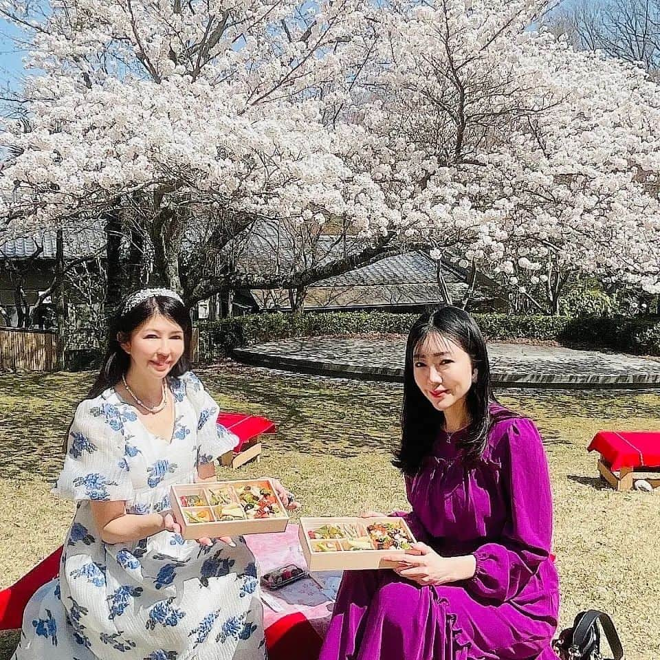 今堀恵理さんのインスタグラム写真 - (今堀恵理Instagram)「有馬の古泉閣 @kosenkaku_official   でお花見🌸🍺🌸  6万坪の広大な土地の古泉閣さんのソメイヨシノに囲まれたお庭で 料理長の花見弁当を贅沢に頂く日帰りプランに昨日行って来ました🌸🌸🌸  オプションで有馬随一の湯量を誇る自家泉源の温泉にも入れるよ✨  【期間：2023年3月18日（土）～4月9日（日）】 海鮮ちらし弁当　￥5,500 +入浴 1150円 ※3日前までの予約  満開の桜🌸でした お弁当は今年は海鮮ちらし弁当で、今年のお弁当も美味しかったです😌💓 @shin_kuroobisan とゆっくりお花見出来ました🌸  #古泉閣 #お花見 #お花見弁当 #有馬温泉」3月30日 9時32分 - eriimahori