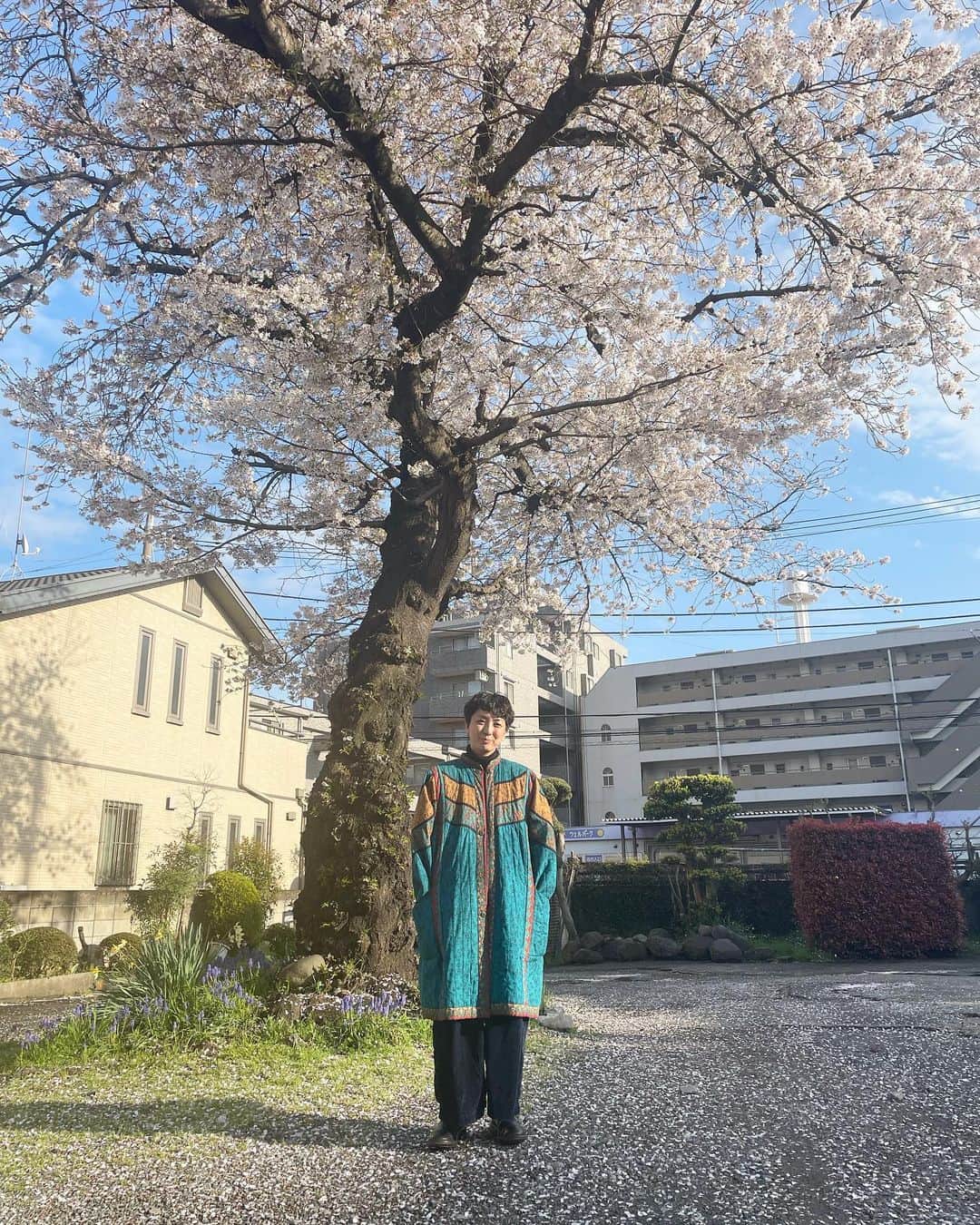 Boojilさんのインスタグラム写真 - (BoojilInstagram)「🌸桜満開。東京おかっぱちゃんハウスの桜、毎日じっとこの土地を守って、春になるとこっちをごらんよ。と、花を咲かせてみんなを笑顔にさせてくれるとても優しい桜の樹です。  わたしは東京に暮らす前、中南米〜南米を旅していました。  あの旅で培ったものは、色彩のエネルギーとその自由さ、手仕事の高度な技術、そしてそこから生まれる人と人とのコミュニケーションの重要さ。東京に戻り、その自分の見てきた景色を、少しずつ分かち合い、ひとりひとりの暮らしが少しでもいい豊かなものになったら嬉しい。  そう思って、お店をこの古民家で立ち上げ、絵を描きながら、様々なイベントを開催してきました。結婚、出産を経て、夫が脱サラしてからは、仕事のパートナーになり、彼がお店で自分の得意なことがなんなのか、やりたいことはなんなのか模索し、そのサポートを子育てをしながら8年間、もうこれ以上ないくらいやり切ったように思います。彼が大学生だった頃から、遡れば約20年応援してきた。  内側に何か光るものがあるはずなのに、それがなんなのか彼自身気付けないまま、時は経ち、私たちは38歳になりました。  振り返ると、わたしがやりたかったこと、実現したかった夢はいつからか、彼の夢のサポートをすることで大切な場所を譲るような形へと変化していったように思います。  流れるままに今にたどり着いていて、今になってこの形になったのは仕方ない、彼がずっとくすぶっていた自己表現に辿り着いたことを素直に喜ぼうと思います。今日をスタート地点とし、過去にとらわれず、今からこの場所で何ができるか。  そう考えるようにしたら、希望に満ち溢れた場所であるはず。楽しいと思うこと、みんなで笑い合える事、きっとまたわたしはここで生み出せると思う。  この8年で世界も大きく変わってしまい、それぞれの価値観も変化し、求められるものも、変化している。求められるものを仕事にするんじゃなくて、自分が求めるものを形にするから求められるんです。お金じゃなくて、情熱がないとスタートしても続かない。  右往曲折、いろんなことがあったけれど、不思議なもので彼は彼で絵の道を選んだ。まさかね〜同じ世界に踏み込むとは思っても見なかった。  この8年、ずっとこの大きな桜の樹は我が家の変化を見守り続けてきました。わたしが幸せなときも、苦しくて泣いたときも、そしていま少しだけ弱っているわたしをも、優しく包んでくれているようです。  自分の新しい道を選び抜いた時、人はものすごい力を発揮するように思います。それは誰でもない、自分の力を信じたからこそ湧き出るエネルギー。誰かに頼まれたり、誰かに支えてもらったから生まれるものじゃない。　　　　  夫とは知り合って20年。結婚して8年。 もう私ができることは全てやり切ったと、思っていて。 いい意味で手放すことを決めました。それは彼のためでもあり、自分のためでもある。互いの幸せをそれぞれが責任をもって頑張る。我儘を押し通すんじゃなくて、認め合う、そういうパートナーシップを組めたら良いなと思います。  今年いっぱいでパートナーだった夫は、東京おかっぱちゃんハウスを卒業します。わたしはまた新しいパートナーを探すため、新しい出会いをたくさん求めるでしょう。  わたしの中にある"愛する"という感情は、その人を支え、応援することです。夫婦、家族とはそういうものだと思っていました。世界は広い、いろんなパートナーシップがあるんです。この歳にして初めて知ること、たくさんあるんだなぁって。  でもこれからは考え方を変えて、わたしがわたしを愛すること、わたしが誰よりも大事な自分のパートナーであり、自分を全力で応援することに決めました。  これまでの経験で力を込めて精一杯、働き尽くす経験も経たから、毎日深呼吸したり、身体を労ったり、そんな自分を優しく愛でながら、絵を描く人生もいいな。と最近は思います。  なんか、最近自分の死がとても近くにある気がして、はて？最後までせかせか仕事に追いやられていたいかい？と、自分に問うとやっぱりわたしはいつだって笑顔でいたいし、絵を描いて、誰かを笑顔にしたいんだと感じます。  こどもたちもいるし、愛しているよ全力で。でも、母であるわたしより、わたしはわたしを生き抜きたい。  母業なんてあと10年そこらでメインの仕事は終わっちゃう。今から未来の私につながることを、楽しみに自分の土壌をふかふかに整える。そこからたくさんの芽が出て、やがて小さくとも可愛らしい花が咲けばと思います。  この桜の樹を勝手ながらずっと自分を見守ってくれる優しい友達だと思っていました。良い時の私も、悪い時の私も全部あなたは知っているのに、何ひとつ声を発さずに、そのまま変わらずに優しく側にいてくれる。  わたしはそういう絵が描きたい。厳かに飾られたいわけでもなく、あなたのそばに寄り添えるような。眺めると優しい気持ちになれるような、そんな絵を、ずっと描き続けられるようにわたしを新しく育てていく。  春が来るとちゃんと花を咲かせて、わたしだけでなくみんなを優しい気持ちにさせてくれるあなたを、心から尊敬しています。わたしもそんなあなたのように、どっしりとした人間でありたいなと思う。  この春のことを、わたしは一生忘れないと思う。」3月30日 9時48分 - boojil