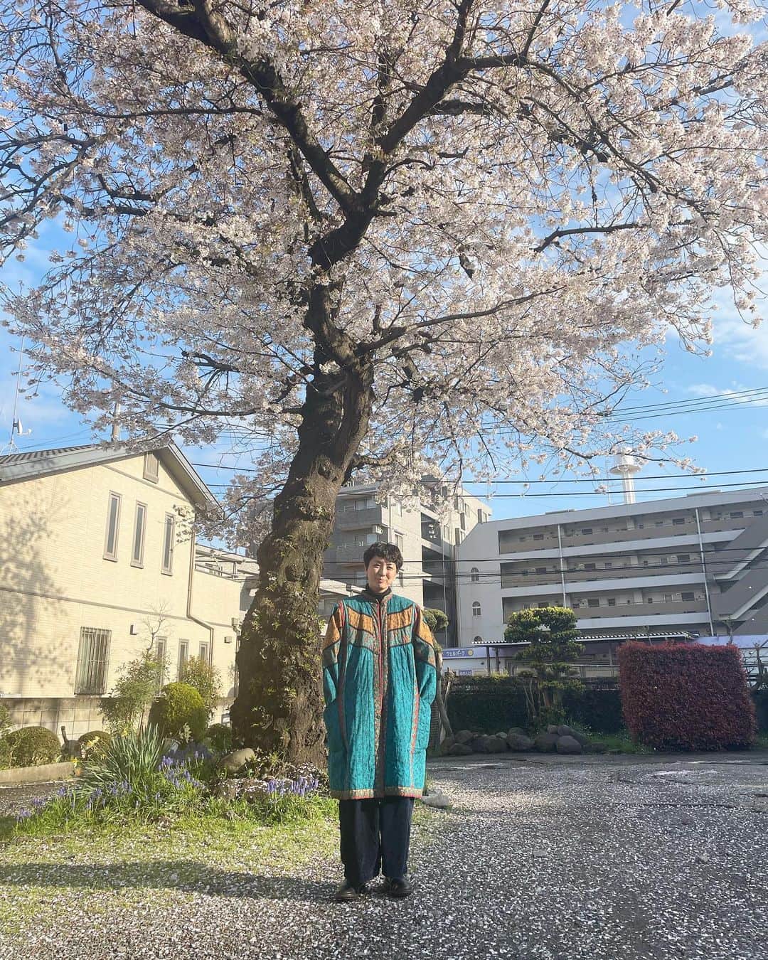 Boojilのインスタグラム：「🌸桜満開。東京おかっぱちゃんハウスの桜、毎日じっとこの土地を守って、春になるとこっちをごらんよ。と、花を咲かせてみんなを笑顔にさせてくれるとても優しい桜の樹です。  わたしは東京に暮らす前、中南米〜南米を旅していました。  あの旅で培ったものは、色彩のエネルギーとその自由さ、手仕事の高度な技術、そしてそこから生まれる人と人とのコミュニケーションの重要さ。東京に戻り、その自分の見てきた景色を、少しずつ分かち合い、ひとりひとりの暮らしが少しでもいい豊かなものになったら嬉しい。  そう思って、お店をこの古民家で立ち上げ、絵を描きながら、様々なイベントを開催してきました。結婚、出産を経て、夫が脱サラしてからは、仕事のパートナーになり、彼がお店で自分の得意なことがなんなのか、やりたいことはなんなのか模索し、そのサポートを子育てをしながら8年間、もうこれ以上ないくらいやり切ったように思います。彼が大学生だった頃から、遡れば約20年応援してきた。  内側に何か光るものがあるはずなのに、それがなんなのか彼自身気付けないまま、時は経ち、私たちは38歳になりました。  振り返ると、わたしがやりたかったこと、実現したかった夢はいつからか、彼の夢のサポートをすることで大切な場所を譲るような形へと変化していったように思います。  流れるままに今にたどり着いていて、今になってこの形になったのは仕方ない、彼がずっとくすぶっていた自己表現に辿り着いたことを素直に喜ぼうと思います。今日をスタート地点とし、過去にとらわれず、今からこの場所で何ができるか。  そう考えるようにしたら、希望に満ち溢れた場所であるはず。楽しいと思うこと、みんなで笑い合える事、きっとまたわたしはここで生み出せると思う。  この8年で世界も大きく変わってしまい、それぞれの価値観も変化し、求められるものも、変化している。求められるものを仕事にするんじゃなくて、自分が求めるものを形にするから求められるんです。お金じゃなくて、情熱がないとスタートしても続かない。  右往曲折、いろんなことがあったけれど、不思議なもので彼は彼で絵の道を選んだ。まさかね〜同じ世界に踏み込むとは思っても見なかった。  この8年、ずっとこの大きな桜の樹は我が家の変化を見守り続けてきました。わたしが幸せなときも、苦しくて泣いたときも、そしていま少しだけ弱っているわたしをも、優しく包んでくれているようです。  自分の新しい道を選び抜いた時、人はものすごい力を発揮するように思います。それは誰でもない、自分の力を信じたからこそ湧き出るエネルギー。誰かに頼まれたり、誰かに支えてもらったから生まれるものじゃない。　　　　  夫とは知り合って20年。結婚して8年。 もう私ができることは全てやり切ったと、思っていて。 いい意味で手放すことを決めました。それは彼のためでもあり、自分のためでもある。互いの幸せをそれぞれが責任をもって頑張る。我儘を押し通すんじゃなくて、認め合う、そういうパートナーシップを組めたら良いなと思います。  今年いっぱいでパートナーだった夫は、東京おかっぱちゃんハウスを卒業します。わたしはまた新しいパートナーを探すため、新しい出会いをたくさん求めるでしょう。  わたしの中にある"愛する"という感情は、その人を支え、応援することです。夫婦、家族とはそういうものだと思っていました。世界は広い、いろんなパートナーシップがあるんです。この歳にして初めて知ること、たくさんあるんだなぁって。  でもこれからは考え方を変えて、わたしがわたしを愛すること、わたしが誰よりも大事な自分のパートナーであり、自分を全力で応援することに決めました。  これまでの経験で力を込めて精一杯、働き尽くす経験も経たから、毎日深呼吸したり、身体を労ったり、そんな自分を優しく愛でながら、絵を描く人生もいいな。と最近は思います。  なんか、最近自分の死がとても近くにある気がして、はて？最後までせかせか仕事に追いやられていたいかい？と、自分に問うとやっぱりわたしはいつだって笑顔でいたいし、絵を描いて、誰かを笑顔にしたいんだと感じます。  こどもたちもいるし、愛しているよ全力で。でも、母であるわたしより、わたしはわたしを生き抜きたい。  母業なんてあと10年そこらでメインの仕事は終わっちゃう。今から未来の私につながることを、楽しみに自分の土壌をふかふかに整える。そこからたくさんの芽が出て、やがて小さくとも可愛らしい花が咲けばと思います。  この桜の樹を勝手ながらずっと自分を見守ってくれる優しい友達だと思っていました。良い時の私も、悪い時の私も全部あなたは知っているのに、何ひとつ声を発さずに、そのまま変わらずに優しく側にいてくれる。  わたしはそういう絵が描きたい。厳かに飾られたいわけでもなく、あなたのそばに寄り添えるような。眺めると優しい気持ちになれるような、そんな絵を、ずっと描き続けられるようにわたしを新しく育てていく。  春が来るとちゃんと花を咲かせて、わたしだけでなくみんなを優しい気持ちにさせてくれるあなたを、心から尊敬しています。わたしもそんなあなたのように、どっしりとした人間でありたいなと思う。  この春のことを、わたしは一生忘れないと思う。」