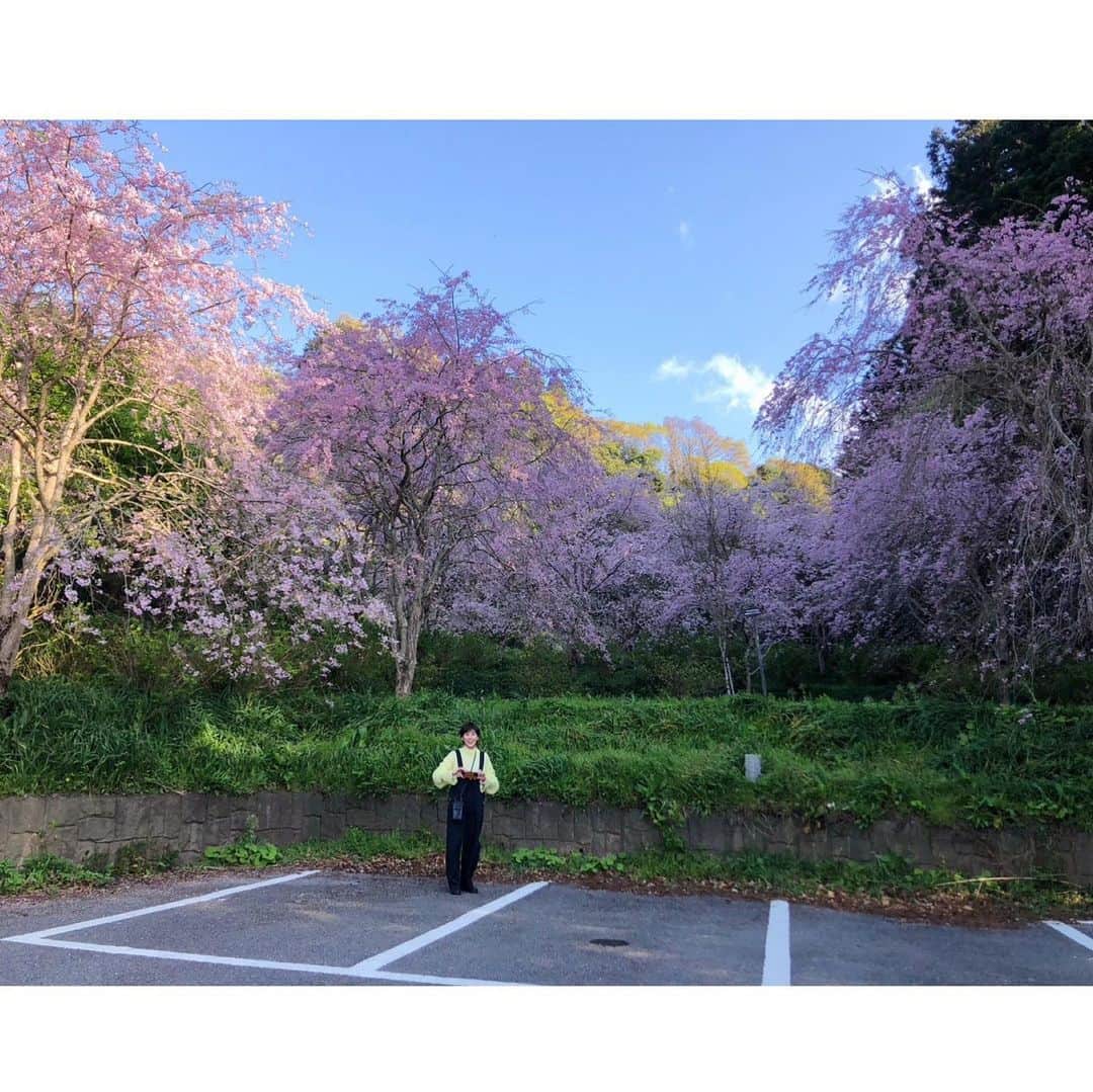 にしおかすみこさんのインスタグラム写真 - (にしおかすみこInstagram)「#すみこカメラマン  あれ😳 必死  #みんなと😊」3月30日 10時36分 - nishioka_sumiko