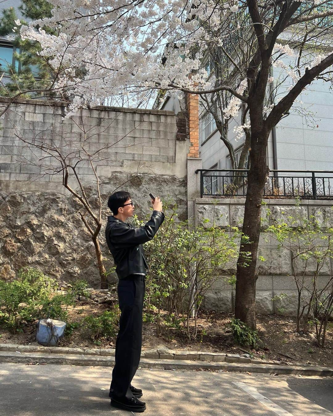 ト・サンウさんのインスタグラム写真 - (ト・サンウInstagram)「벚꽃 만개 🌸」3月30日 11時23分 - sang_____w