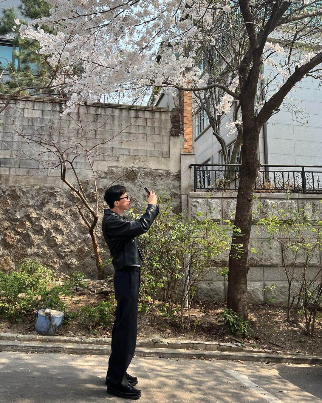 ト・サンウのインスタグラム：「벚꽃 만개 🌸」
