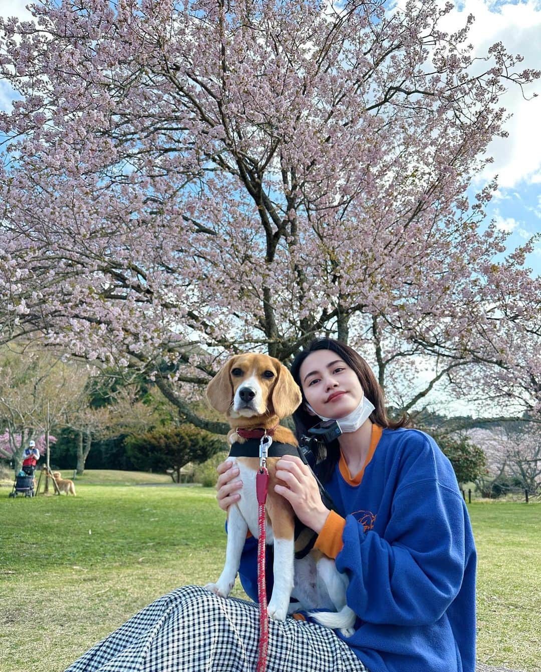 小森未彩のインスタグラム：「はなちゃんと #大室山 の #さくらの里 行って来た🌸  今年はなちゃんとたくさん桜見に行った‼︎」