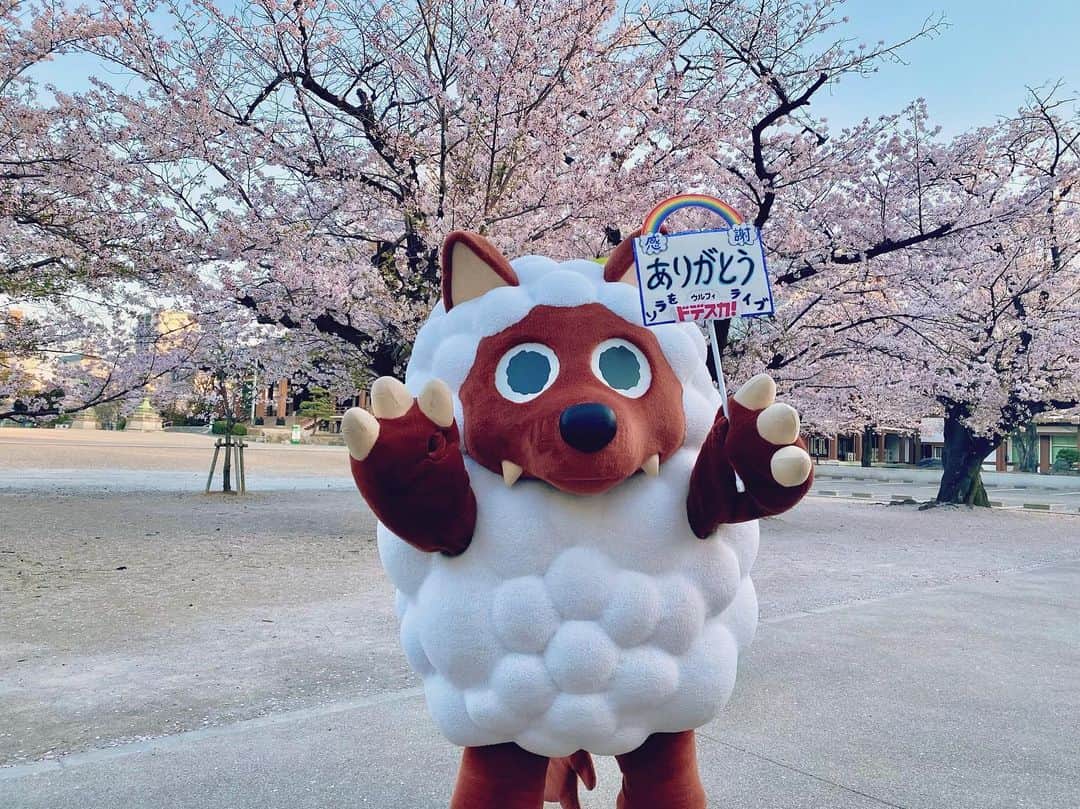 南雲穂波のインスタグラム