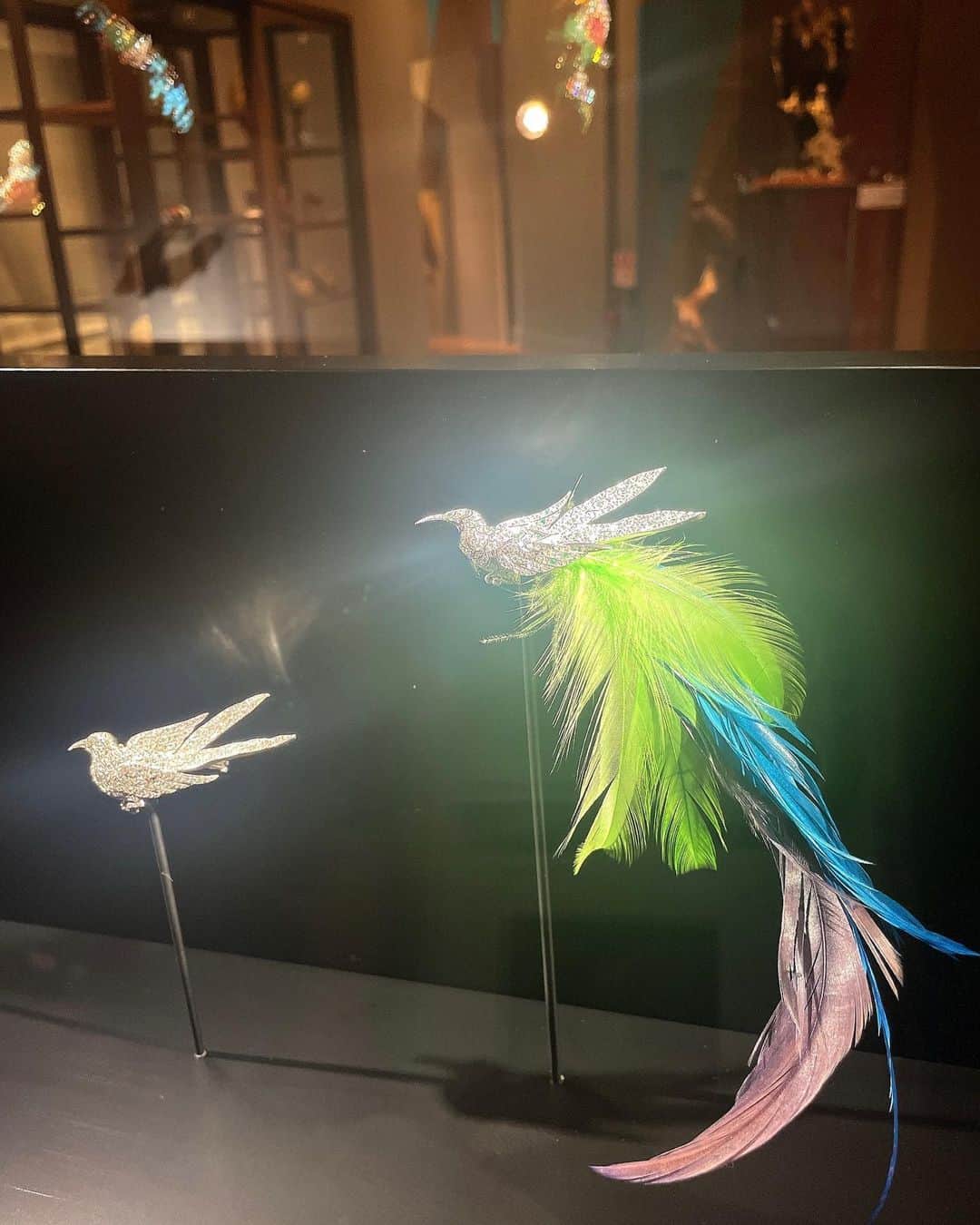 理絵のインスタグラム：「インターメディアテク開館十周年記念特別展示『極楽鳥』  なんだか上手く撮れない...キラキラ輝きが凄すぎて私のスマホがやる気をなくしました💎  主催： 東京大学総合研究博物館＋レコール ジュエリーと宝飾芸術の学校 協力： 山階鳥類研究所 協賛：ヴァン クリーフ＆アーペル  #インターメディアテク #intermediatheque #ヴァンクリーフアーペル #博物館 #東京大学 #kitte #ジュエリー #宝石 #理絵アート #rie_love_art」