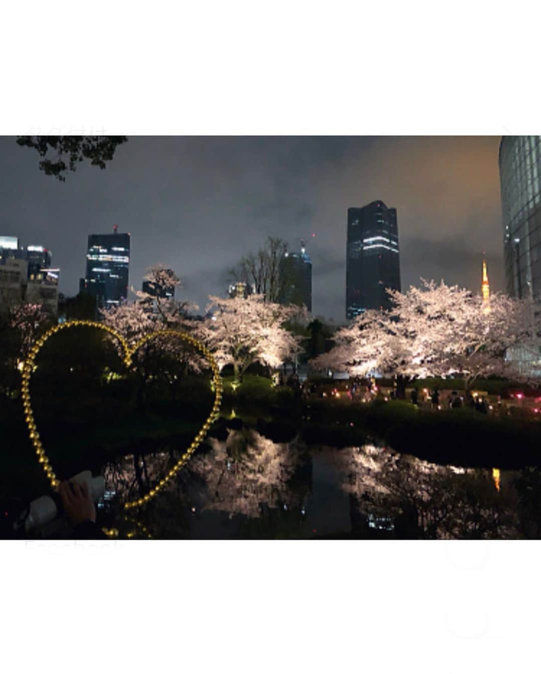 榊山敬代さんのインスタグラム写真 - (榊山敬代Instagram)「🌸🌙… ・　　 今年は桜の開花 がはやいですね  ということで つづきまして  この日は急きょ 夜桜ナイトの巻  午後は雨が降っていて 夜から晴れましたので 人出も少なくしずかで 幻想的なお花見タイム  夜桜を眺めますと郷さくら美術館の 制作の為に取材するご縁をいただき ました２０１８年に訪れました三春 滝桜のひとコマを思い出しますとき  あの時は映画のような絶妙なタイミ ングとスリルさの中取材ができたの ですが見えない何かが導いてくださ ったような不思議な取材時間でした  今思い返すとなかなか簡単に 行ける場所ではなかったこと や渋滞を上手くすり抜けなが らの背景を思い出すとますま す不思議でならないひとコマ  最後の画像は記念にお久しぶりに 三春滝桜を制作しましたひとコマ  絵画の桜は散らないので 永遠にお花見できますね  #🌸 #春 #spring  #さくら #桜 #CherryBlossoms #sakura #Tokyo #東京 #六本木 #roppongi #view #夜空 #Sky #art  #お花見 #お花見スポット #最近ついてる #毎日がスペシャル #人生一度きり #人生楽しもう #東京大好き #日本画家 の #外出こんなもん #人生タイミング #乾杯 #cheers #日本画 #三春滝桜 #福島県」3月30日 17時22分 - sakakiyamatakayo
