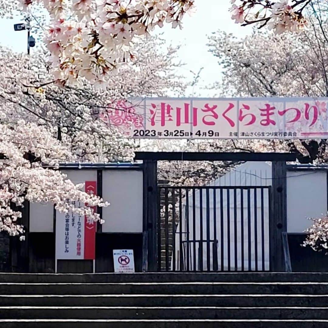 小野田紀美さんのインスタグラム写真 - (小野田紀美Instagram)「津山さくらまつり  岡山より満開の桜の写真が届きました🌸綺麗ですね✨ 津山さくらまつりは3月25日(土)〜4月9日(日)まで開催とのことです。 期間中は様々なイベントが行われているようです。 ストーリーに津山市公式観光サイトのURLを貼ります。 さくらの名所日本100選に数えられる津山城の美しい桜を是非愛でにいらしてください🌸 (事務所スタッフM) #岡山県 #津山市 #津山さくらまつり #桜の名所  #自民党 #参議院 #小野田紀美 #小野田きみ #おのだきみ #日本を守り抜く #約束」3月30日 17時23分 - onodakimijimusho