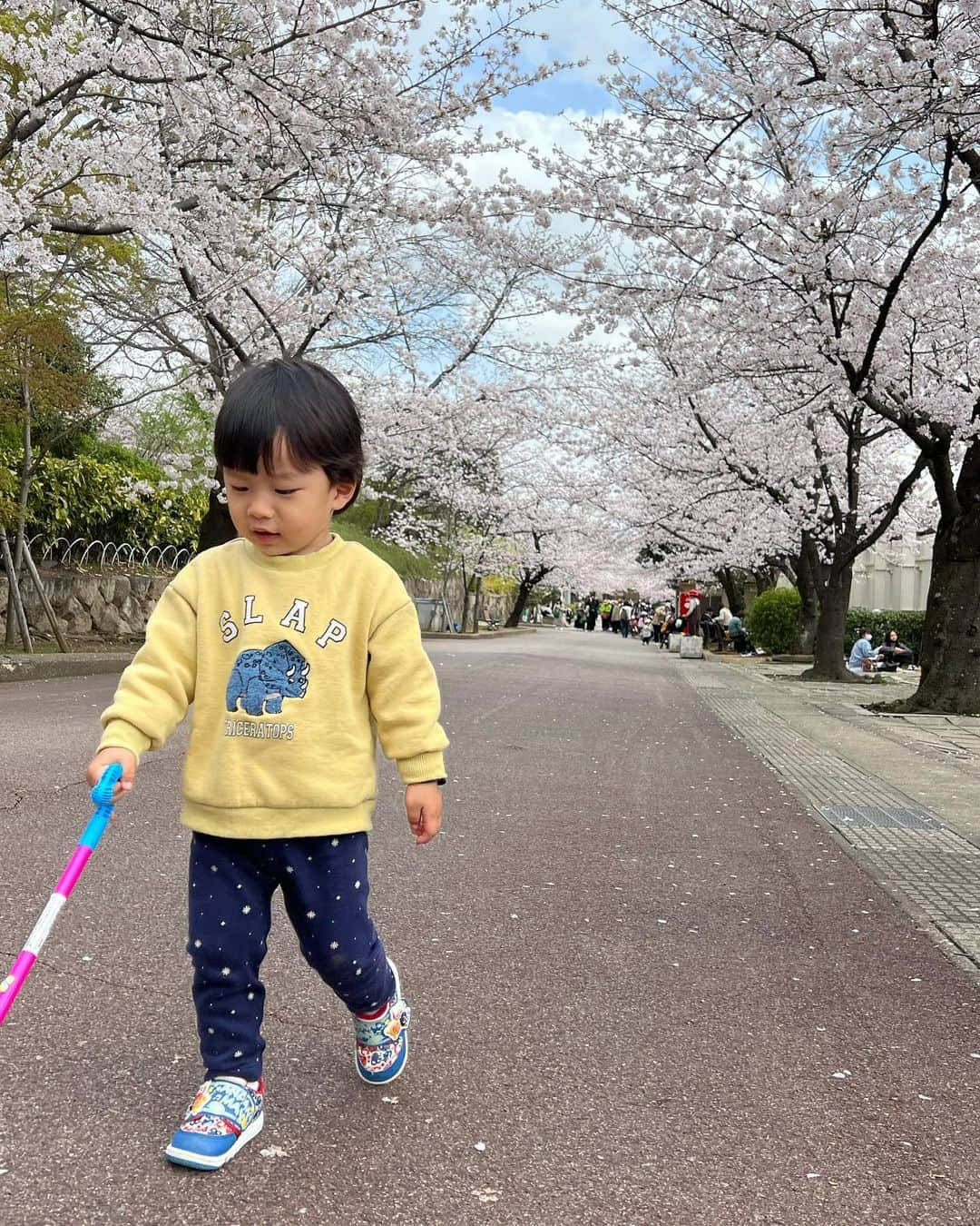 長嶺菜菜子さんのインスタグラム写真 - (長嶺菜菜子Instagram)「⁡ 【子供の選択を受け入れて、そのままやらせてみる】 ⁡ ⁡ 前にストーリーズで流した内容の 反響が大きかったから フィードとして残しておく✨ ⁡ ⁡ 当たり前なんだけど 大人と子供が思う 面白い！って全くちがくて ⁡ この単調な乗り物に→2枚目の動画 （ぐるぐる回ってるだけの電車の乗り物） ⁡ 私としては何が楽しいんだろうって すごく考えた ⁡ 大人は今までの経験から 楽しい楽しくないの判断をして こっちの方が楽しいよ！って 子供に言ったりするんだけど、 それって良くないなって🙂🙃 ⁡ 子供は今いろいろ試して 自分の中の楽しい、楽しくない、 面白い、面白くないを学んで判断してるんだよね ⁡ そして子供であっても、 色々みた中で、これ楽しそう！って ちゃんと考えてる！ ⁡ それに気づけた ⁡ だからやっぱり 子供が選んだものを 口出しせずになんでもやらせてあげようって 改めて思った☺️❣️ ⁡ ⁡ ⁡ 子供が自ら選んで、これをやりたい！という主張や 子供が考える能力を奪う親ではなくて ⁡ それを認めてサポートできる親でありたい✨ ⁡ 凝り固まった大人の ちっぽけで勝手な常識という判断で 先に答えを渡してしまったら 子供が考えることをしなくなる ⁡ そんなのもったいない！ ⁡ ⁡ 子供のうちに考える能力をつけて、 これから先、何があっても 自分で調べたり考えたり ⁡ 人に答えを求めず まずは自分でやってみる ⁡ という人になって欲しい☺️ ⁡ ＿＿＿＿＿＿＿＿＿＿ #沖縄ママ #沖縄子育て  #子供に伝えたいこと #子育て論 #子育て記録 #子育てを楽しむ  #子供の成長 #子供のやりたいを応援」3月30日 17時15分 - na7co0422