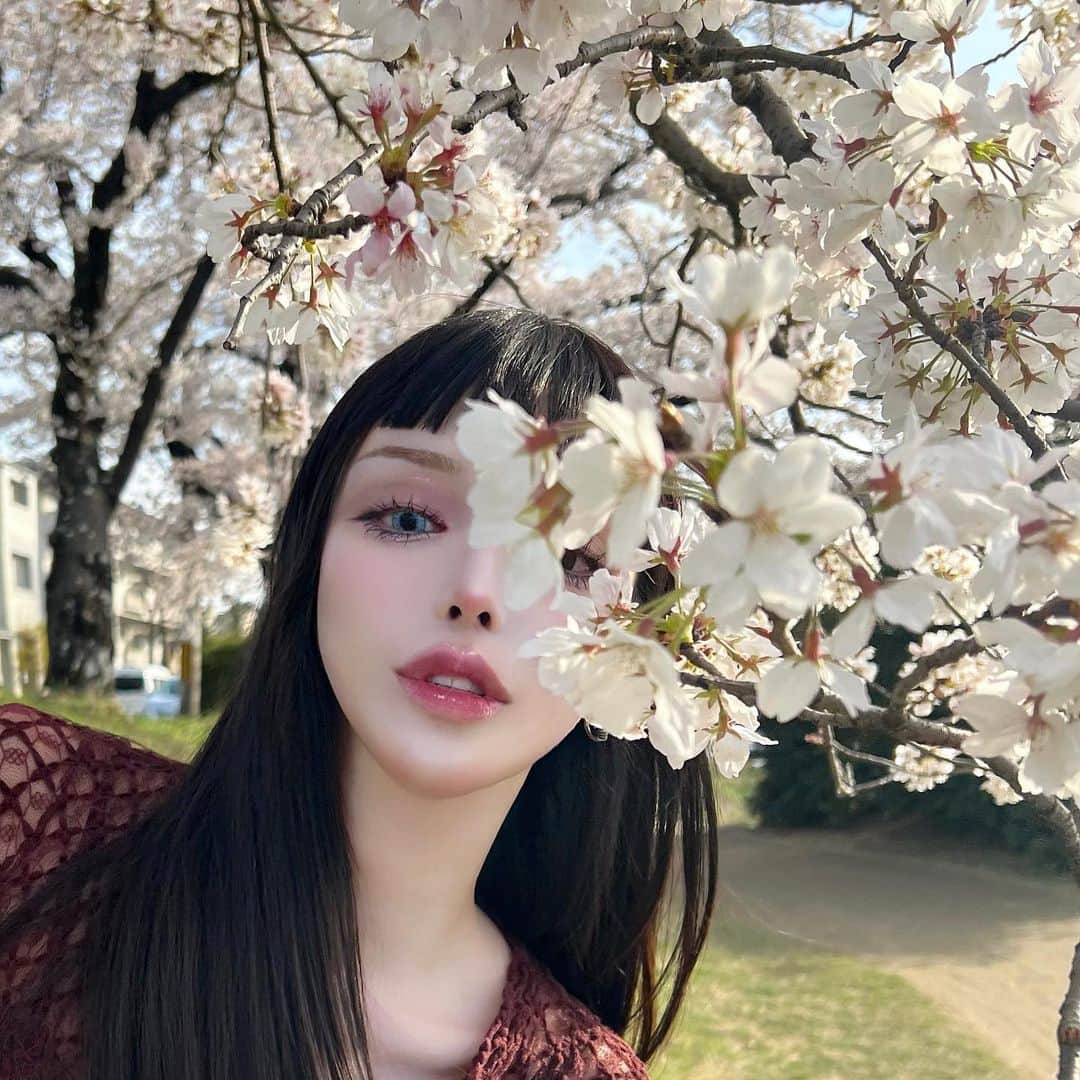のインスタグラム：「🌸春ですね」