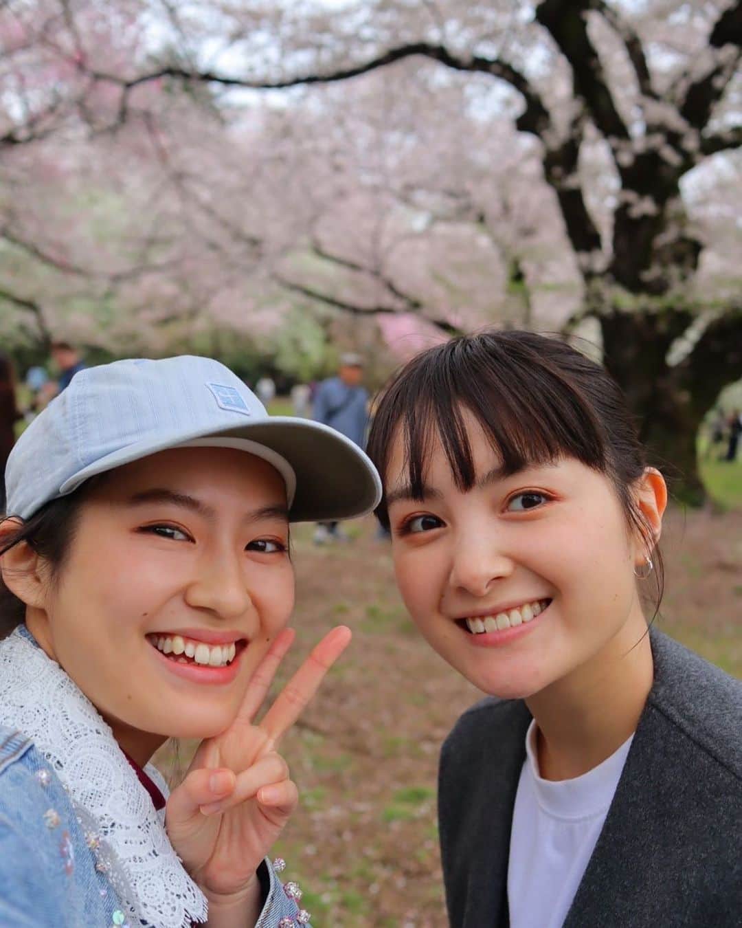 葵わかなのインスタグラム：「. ここ最近の東京はお天気がすぐれませんが、桜は本当に綺麗に咲いていますね！  散ってしまう前に…、曇っていたけど祐里と一緒にお花見をしてきました☺️  なんだかお弁当に憧れ？というか、最近すごくお弁当を作ってみたくて、なかなか作るタイミングがないので張り切って作りましたが…  彩が…🥹難しさを痛感笑  味は美味しかったですが、まだまだ勉強が必要！！  桜はとても綺麗に咲いていて、なんと人生初のお花見だったのもあってすごく楽しい時間でした🌸  晴れた空と桜が見たいなぁ、もう少し咲いてておくれ〜☺️」