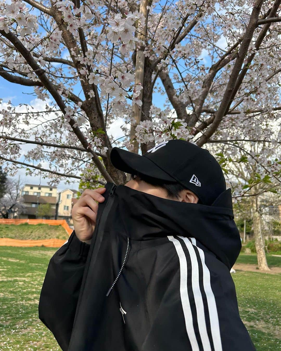 堀内結流さんのインスタグラム写真 - (堀内結流Instagram)「cherry blossoms 🌸」3月30日 19時00分 - yuiru_supafuru