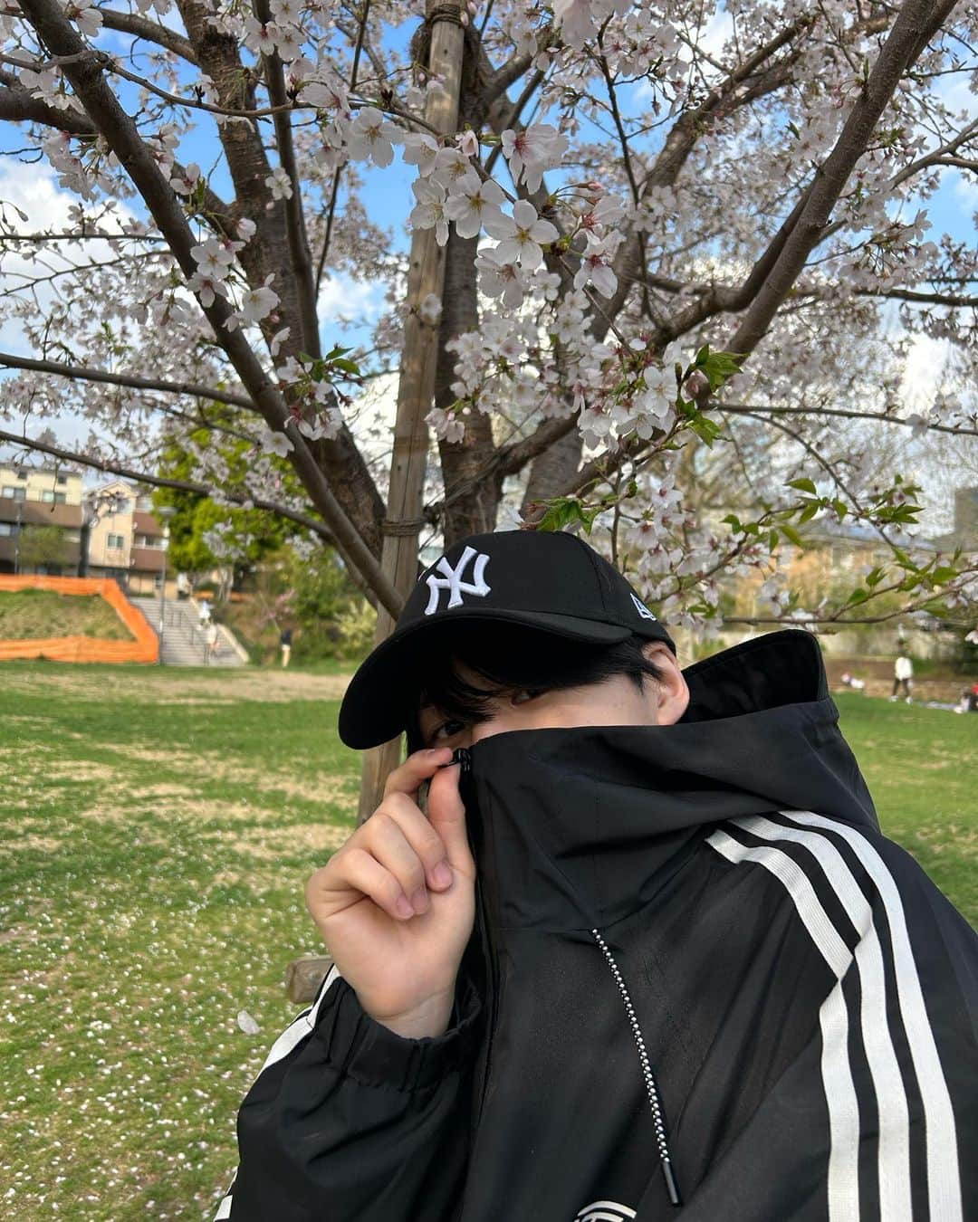 堀内結流さんのインスタグラム写真 - (堀内結流Instagram)「cherry blossoms 🌸」3月30日 19時00分 - yuiru_supafuru