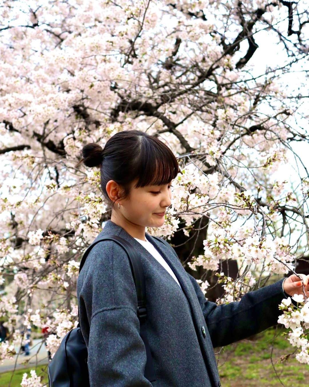 葵わかなのインスタグラム：「🌸」