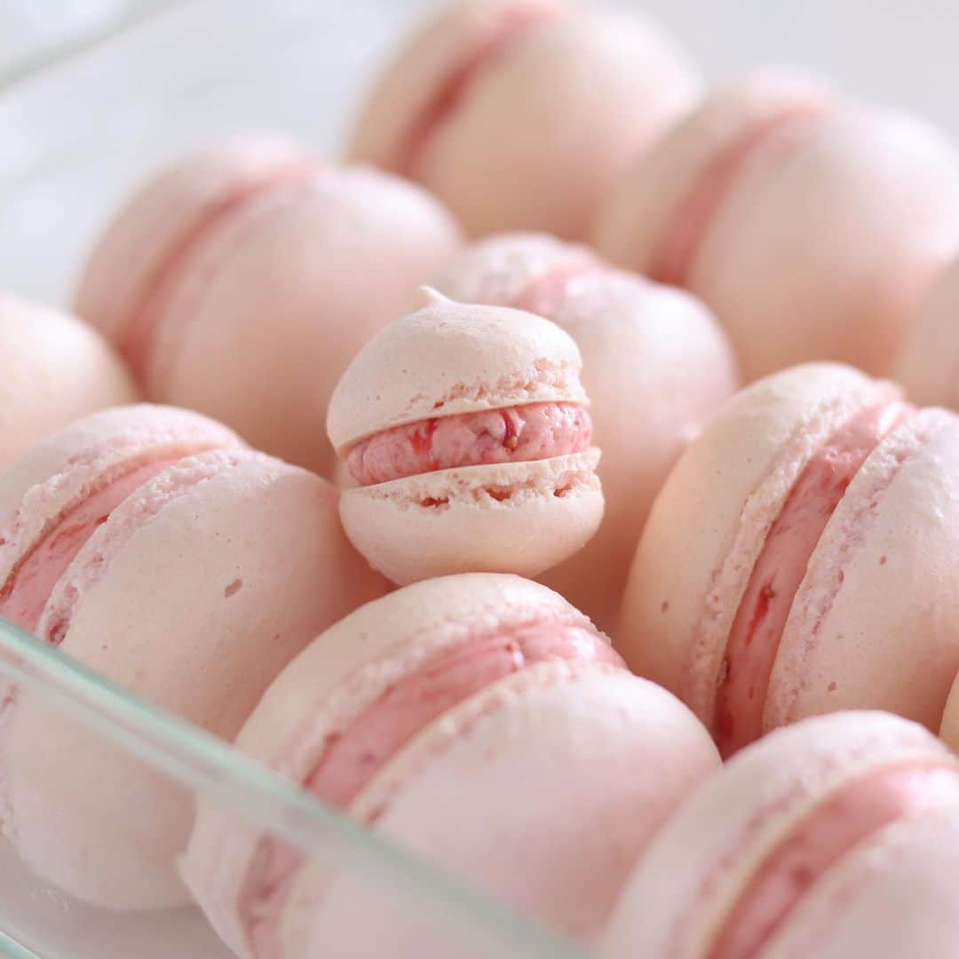 のインスタグラム：「strawberry macaron🍓  春色いちごマカロン💕 最近無性にマカロンが焼きたくて焼きました！ 時々こういう衝動に駆られることがある🤔 レモンマカロンと迷いましたが、かわいいピンクのマカロンにしました🎶  このちびっ子マカロンがかわいくて写真をパシャパシャ🤳  #homemade #easy #recipe #tutorial #baking #foodstyling #foodporn #food #foodphotography #foodpics #foodgasm #tasty #dessert #inspiration #reels #おうちカフェ #お菓子作り #手作りケーキ #ケーキ作り好きな人と繋がりたい #手作りお菓子 #cake #sweets #homecafe #homemakecake #instacake #instafood #cakestagram #cakelover #foodie #hidamaricooking」