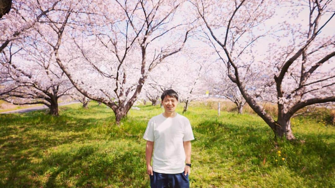 西野誠さんのインスタグラム写真 - (西野誠Instagram)「今年はお花見できないなーと思ってたらめちゃ綺麗なところ発見。」3月30日 13時01分 - makotonishino