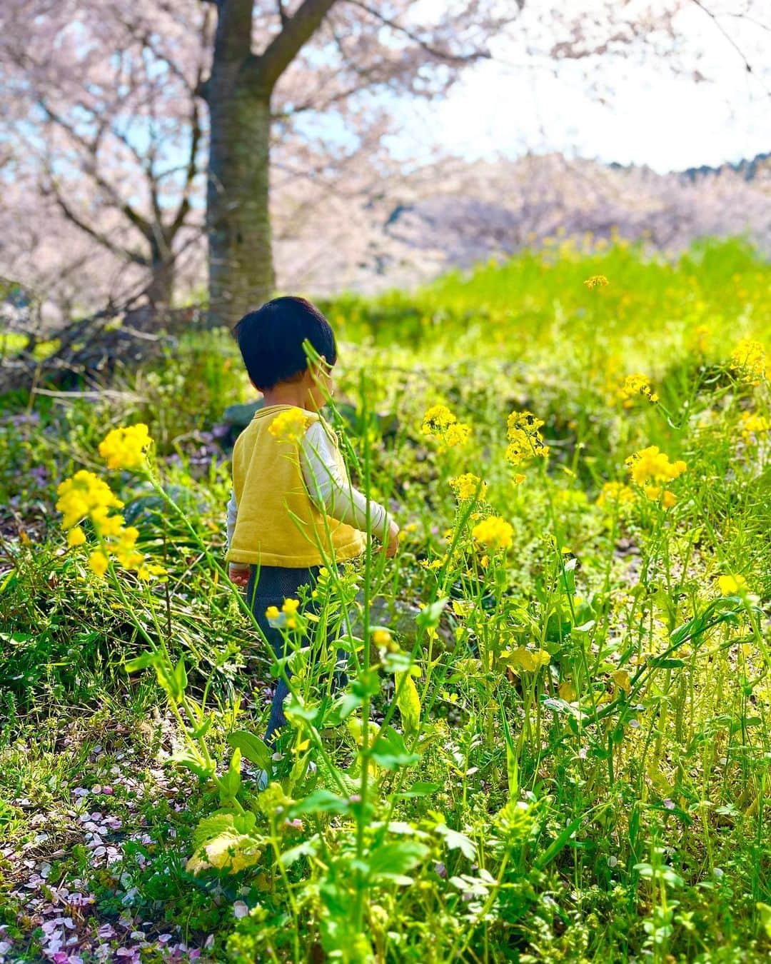 近藤麻理恵さんのインスタグラム写真 - (近藤麻理恵Instagram)「. 春ですね😌  日々成長している子供の背中をみつつ、 これからの新生活に思いを馳せたり。  この春も たくさんのときめきが芽吹きますように‥‥✨  #こんまり #近藤麻理恵 #春 #子どもの成長 #ときめき #新生活」3月30日 12時57分 - mariekondo_jp