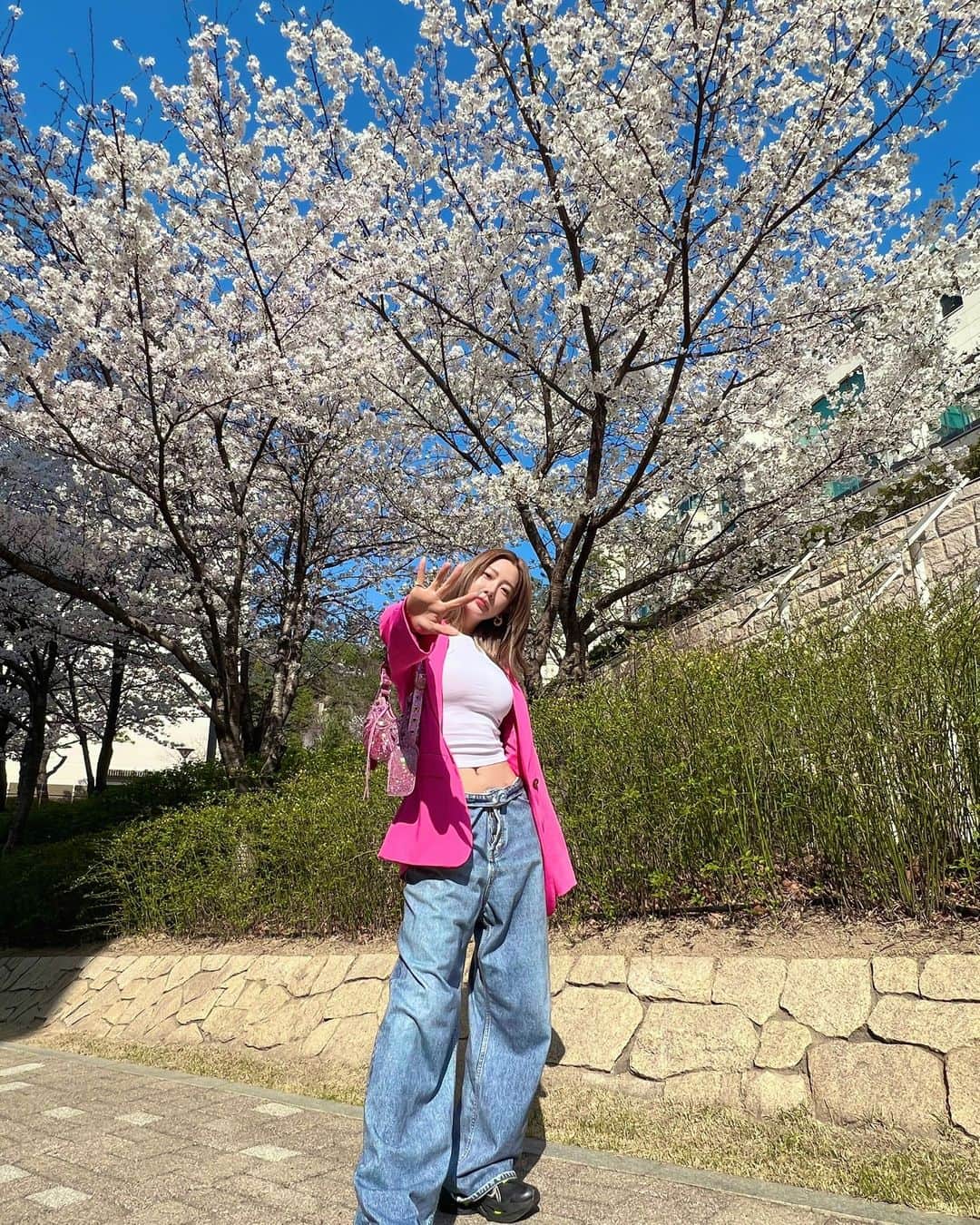 クララさんのインスタグラム写真 - (クララInstagram)「🌸Cherry Blossom🌸  #actressclara #클라라 #fashion #ootd #balenciaga #zara #cherryblossom」3月30日 12時57分 - actressclara