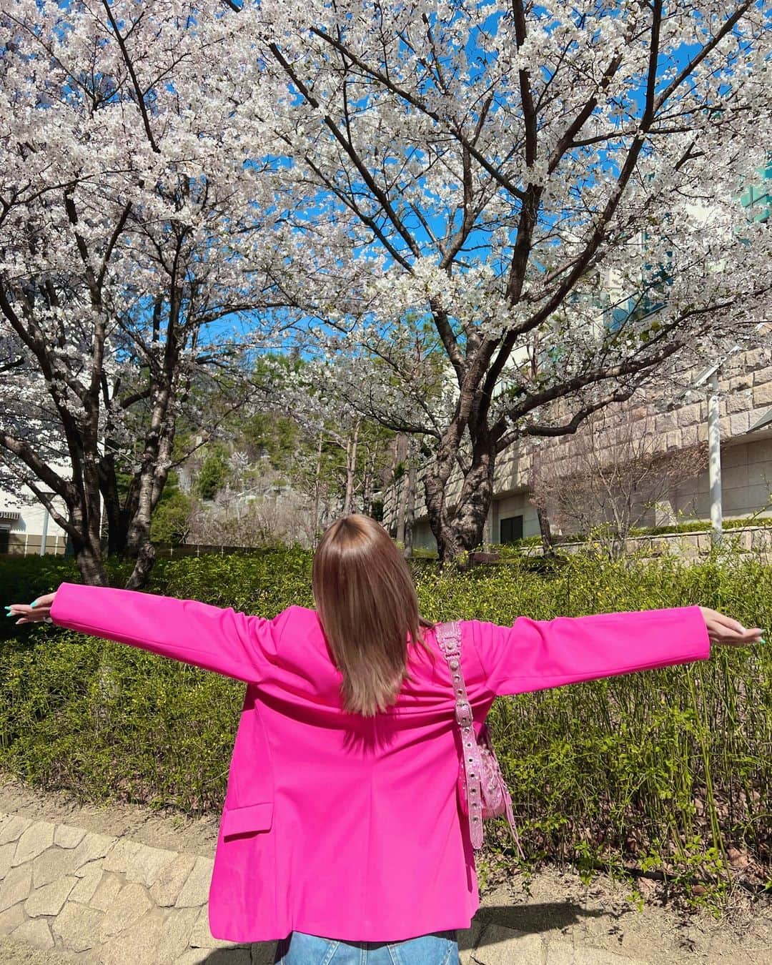 クララさんのインスタグラム写真 - (クララInstagram)「🌸Cherry Blossom🌸  #actressclara #클라라 #fashion #ootd #balenciaga #zara #cherryblossom」3月30日 12時57分 - actressclara