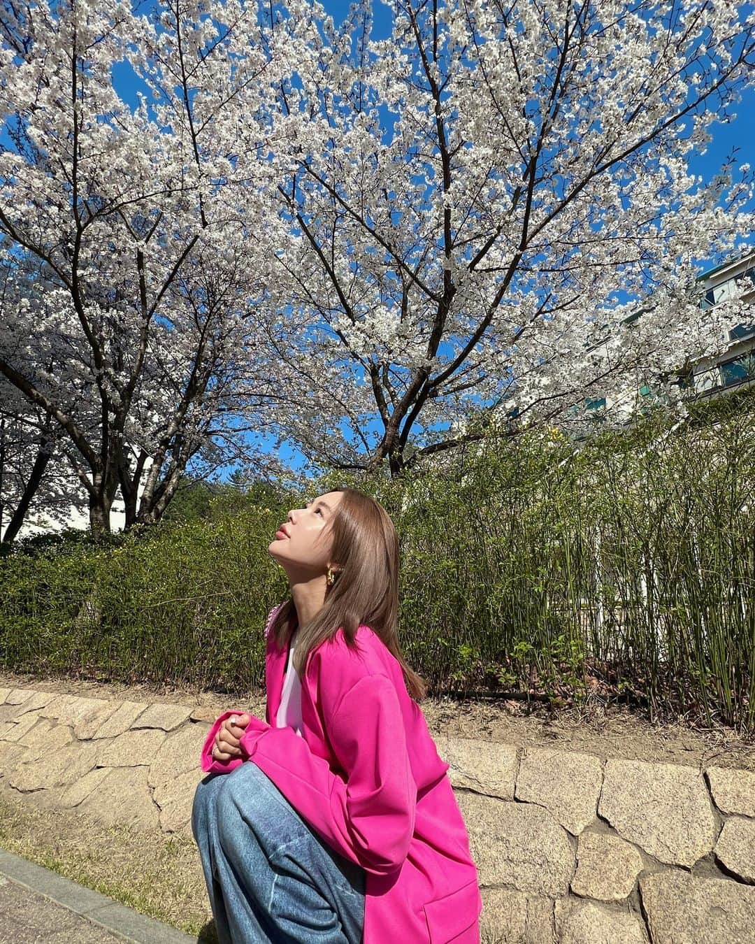 クララさんのインスタグラム写真 - (クララInstagram)「🌸Cherry Blossom🌸  #actressclara #클라라 #fashion #ootd #balenciaga #zara #cherryblossom」3月30日 12時57分 - actressclara