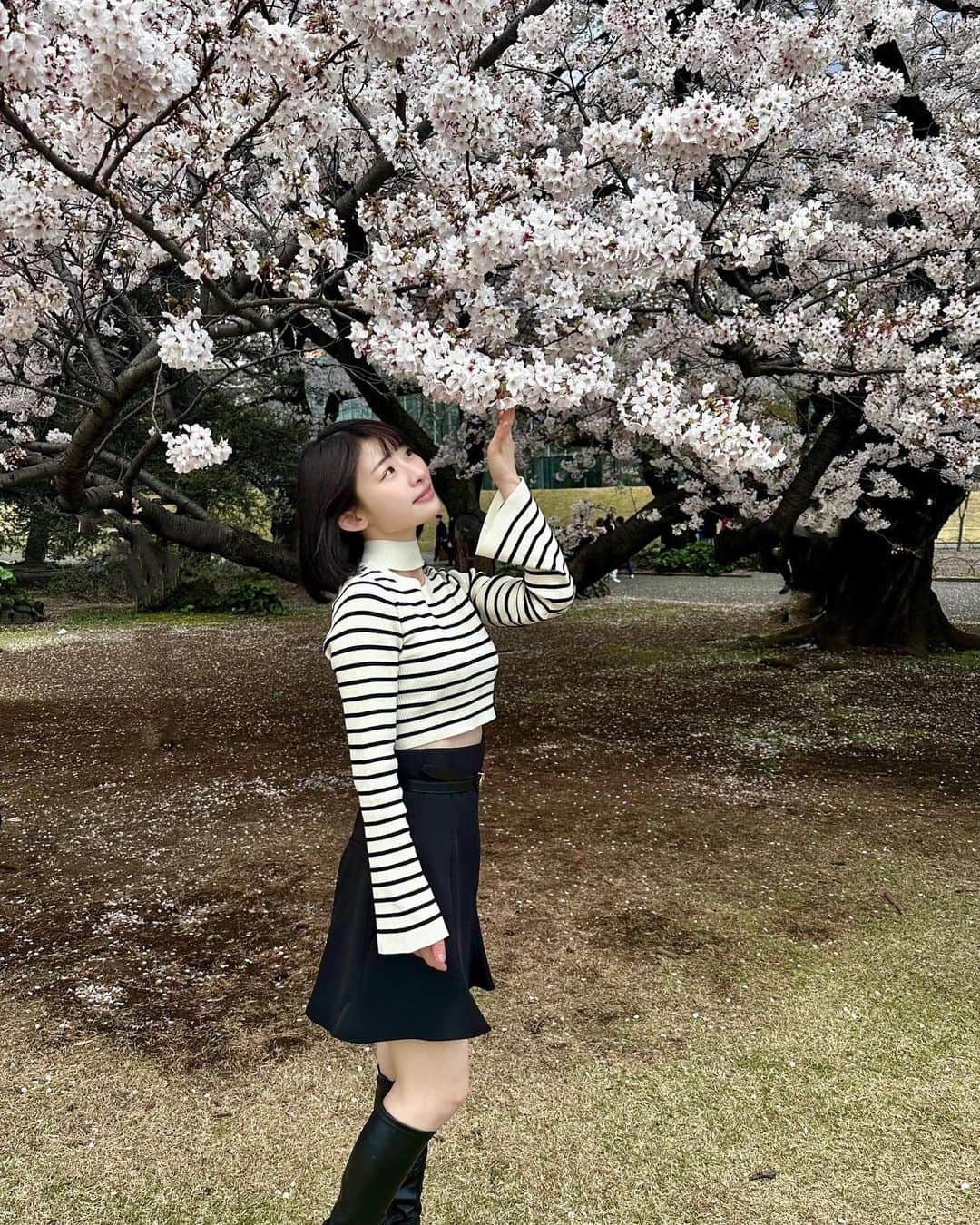 のインスタグラム：「お花見🌸  撮ってくれた女の子たちありがとう🥺💓桜満開で幸せチャージした🥰  #新宿御苑#お花見 #🍡」