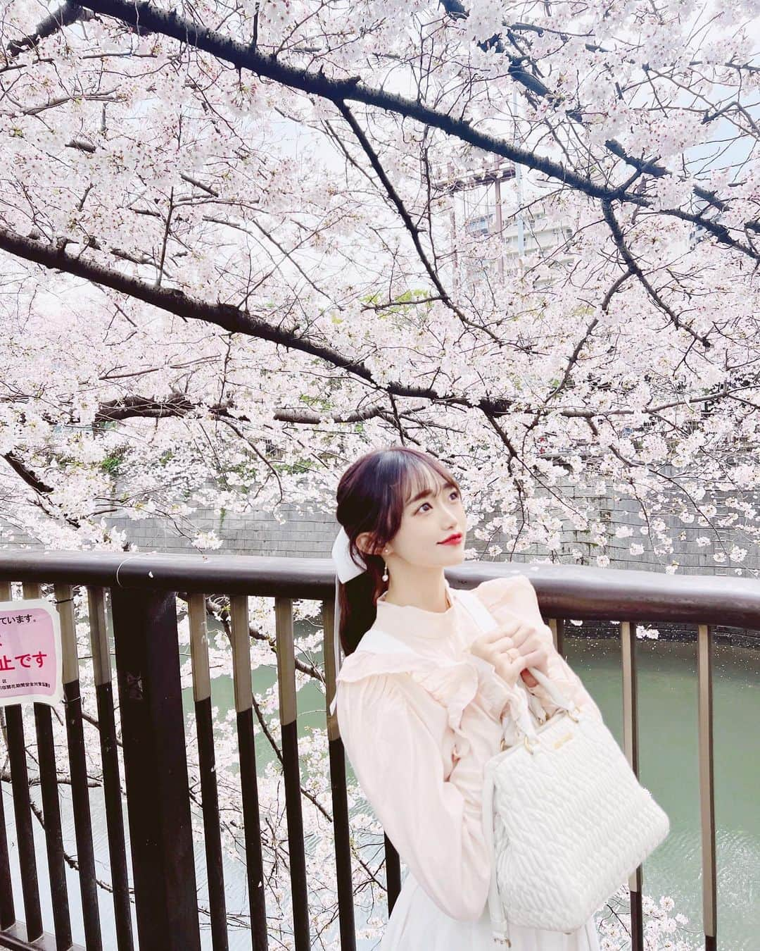 中井りかさんのインスタグラム写真 - (中井りかInstagram)「お花見いけました ❀ ⌖ ꙳ ✧  #お花見　#目黒川 #目黒川の桜 #目黒さくら祭り #春コーデ　#お花見コーデ #photooftheday #instagood #picoftheday #love #style  #ootd  #code」3月30日 13時26分 - rika___n24x