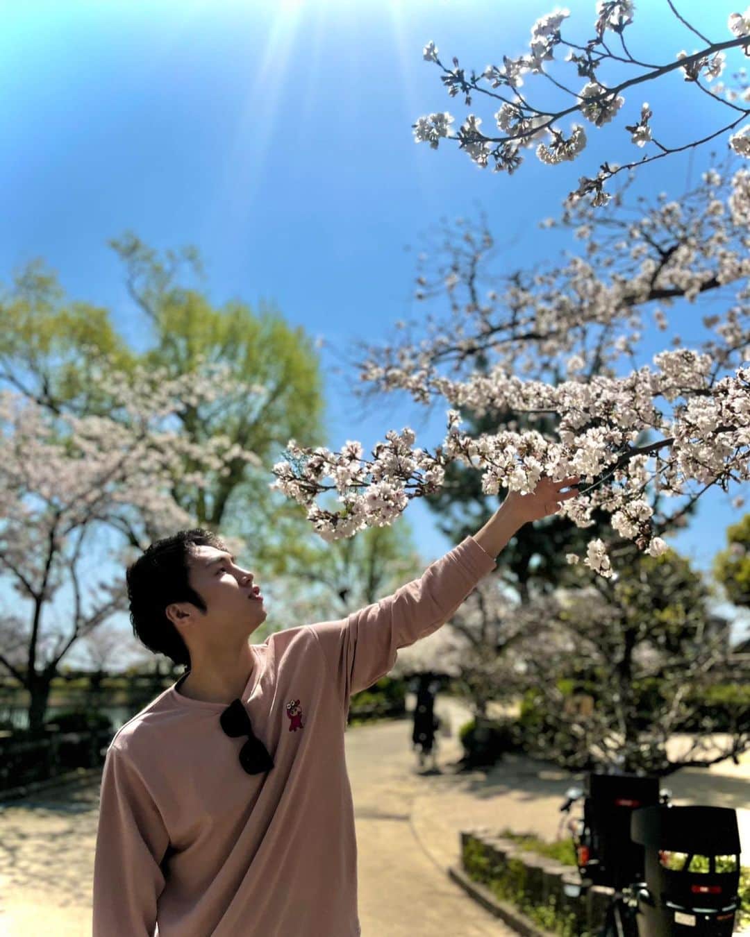 丸田陽七太さんのインスタグラム写真 - (丸田陽七太Instagram)「2023🌸桜🌸  #桜 #ピンク #春」3月30日 13時33分 - hinatamorioka