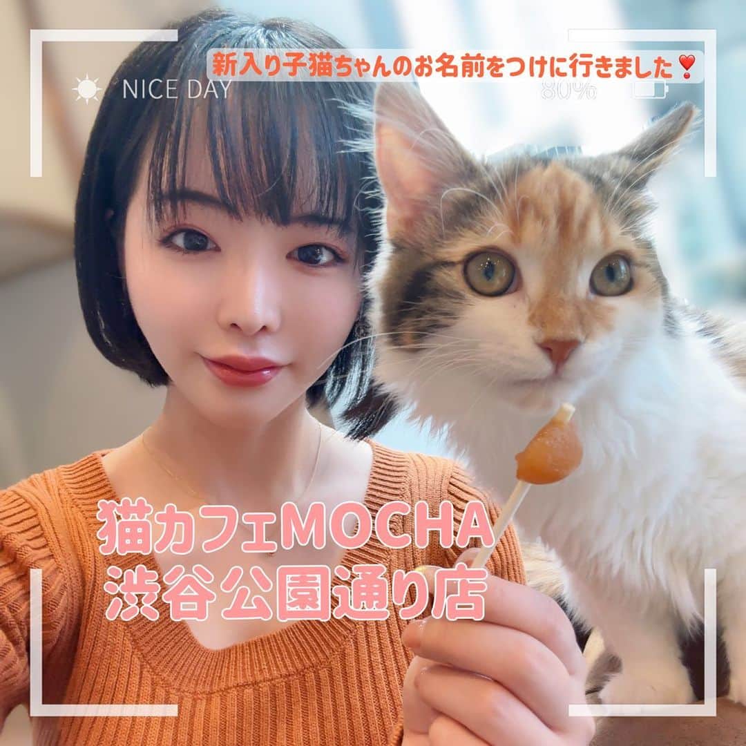 のインスタグラム：「日本最大級の猫カフェグループ 『猫カフェMOCHA』の 公式アンバサダーになりました🐱💕  今日は子猫の名付けイベントに参加するために  #猫カフェmocha渋谷公園通り店 にやってきました✨  渋谷にあるとは思えないほどの広い店内では、時間を忘れてすごせること間違いなし❣️ 調和の取れたインテリアと漫画やゲームをはじめとした娯楽設備が素晴らしいです👀  猫ちゃんは広い店内で日向を探してくつろいでいたり、遊びたくなったら寄ってきてかまちょしてくるので最高に可愛い😍  そしてなんとこのお店には私が名前をつけた猫ちゃんもいるのです…！！！！！！ 詳しくは次の投稿で💕  🐱好きの私は、しょっちゅう猫カフェMOCHA様を利用していたので、アンバサダーになれてとっても嬉しいです❣️  猫カフェMOCHAの魅力をみなさんに知っていただきもっともっと猫カフェが身近なものになっていったらいいなと思っています☺️  #猫カフェMOCHA #猫カフェmocha公式アンバサダー  #猫カフェmocha渋谷公園通り店」