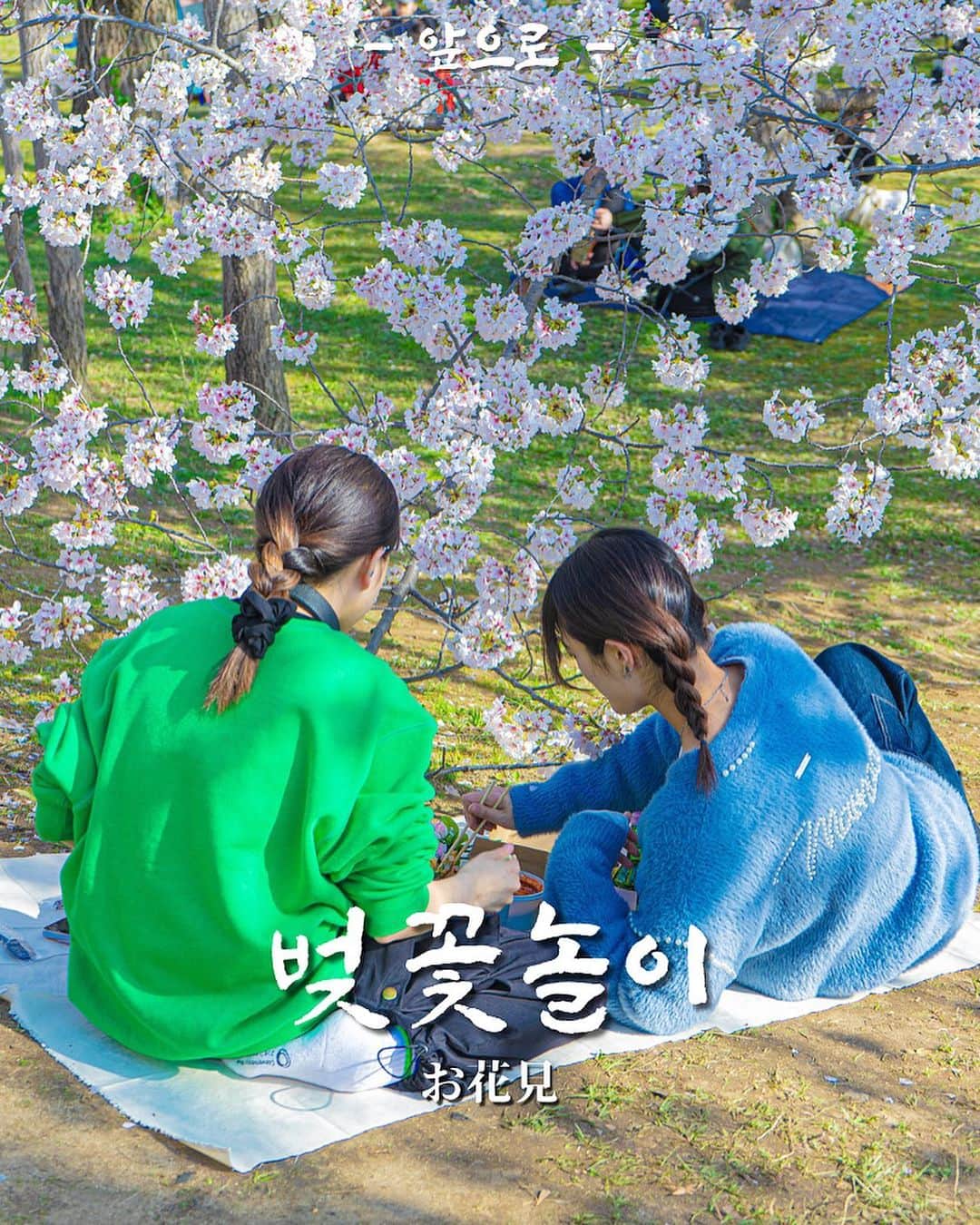 あぷろ大名店のインスタグラム：「\ 안녕하세요 🇰🇷 / 福岡の韓国料理屋 あぷろです🐷 ⁡ お天気が良く、桜が満開に咲いてお花見日和ですね🌸 そんなお花見にぴったりのお弁当とセットをもってスタッフと舞鶴公園へお花見に行ってきました🥹✨  ⁡🌸 あぷろ満喫弁当 ¥1,100(税込) 🌸あぷろボックス　¥3,500(税込) 　（2.3人前くらいの量です。）  どちらもあぷろ大名店にて販売してます😉🌸 お花見やピクニックにぴったり！ ⁡ 是非いかがですか🌸🌸？ ⁡ ※Uber Eatsでは販売しておりません。 ※事前のご予約をしていただけると、スムーズにお渡しできます。 ⁡ ⁡ ✄･･━━･･━━･･━━･･━━･･━━･･━━ 📍あぷろ各店舗紹介 ⁡  @apuro_ohashi  @apuro_yakuin  @apuro_hakata  @apuronishijin  @apurokukohigashi  @apuro_kurosaki  @apurotakamiya  @apuro1992  @apuronanakuma  @apuro_osaka_shinsaibashi  ⁡ ✄･･━━･･━━･･━━･･━━･･━━･･━━･･ ⁡ 🚩あぷろ大名店本店 ▷ 福岡県福岡市大名𝟭-𝟵-𝟮𝟯 大名ハーモニービル𝟭𝗳 ▷ プラザホテル天神を赤坂方面に直進 ▷ かに通赤坂店さんから徒歩𝟯𝟬秒 ▷ 赤坂駅から徒歩𝟱分 ▷ 店の前にコインパーキング有り ⁡ 🕙 営業時間 ▷ 店内 ランチ 𝟭𝟮 :𝟬𝟬-𝟭𝟱:𝟬𝟬（𝗹.𝗼𝟭𝟰:𝟯𝟬） ディナー　𝟭𝟳:𝟬𝟬-𝟮𝟯:𝟯𝟬 (𝗹.𝗼𝟮𝟯:𝟬𝟬) ▷ テイクアウト デリバリー 𝟭𝟭:𝟬𝟬-𝟮𝟮:𝟬𝟬 ⁡ 🥡 テイクアウトの注文について ▷ 𝟬𝟵𝟮-𝟳𝟭𝟰-𝟱𝟭𝟬𝟱にお電話していただいて注文していただけるとスムーズにお受けわたしできます。 ・名前 ・電話番号 ・商品名、数量 ・受取り希望時間 を、スタッフまでお伝えください！ ▷ お店に来ていただいての注文も可能です！ ⁡ ･･━━･･━━･･━━･･━━･･━━･･━━･･」
