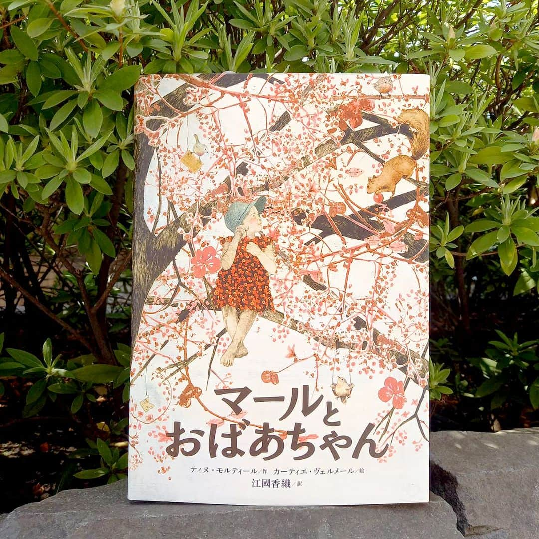 ブロンズ新社さんのインスタグラム写真 - (ブロンズ新社Instagram)「#春の絵本 🌸  『マールとおばあちゃん』  桜の木の下で生まれたマールは、おばあちゃんと大の仲良し。似た者同士のふたりは心で強く結ばれています。 しかしある日、おばあちゃんは倒れて言葉を失います。でも、マールにはおばあちゃんの考えていることがわかるのです。  人の可能性を信じる、愛の物語。  #マールとおばあちゃん  ティヌ・モルティール 作 カーティエ・ヴェルメール 絵 #江國香織 訳 #ブロンズ新社」3月30日 14時36分 - bronzeshinsha